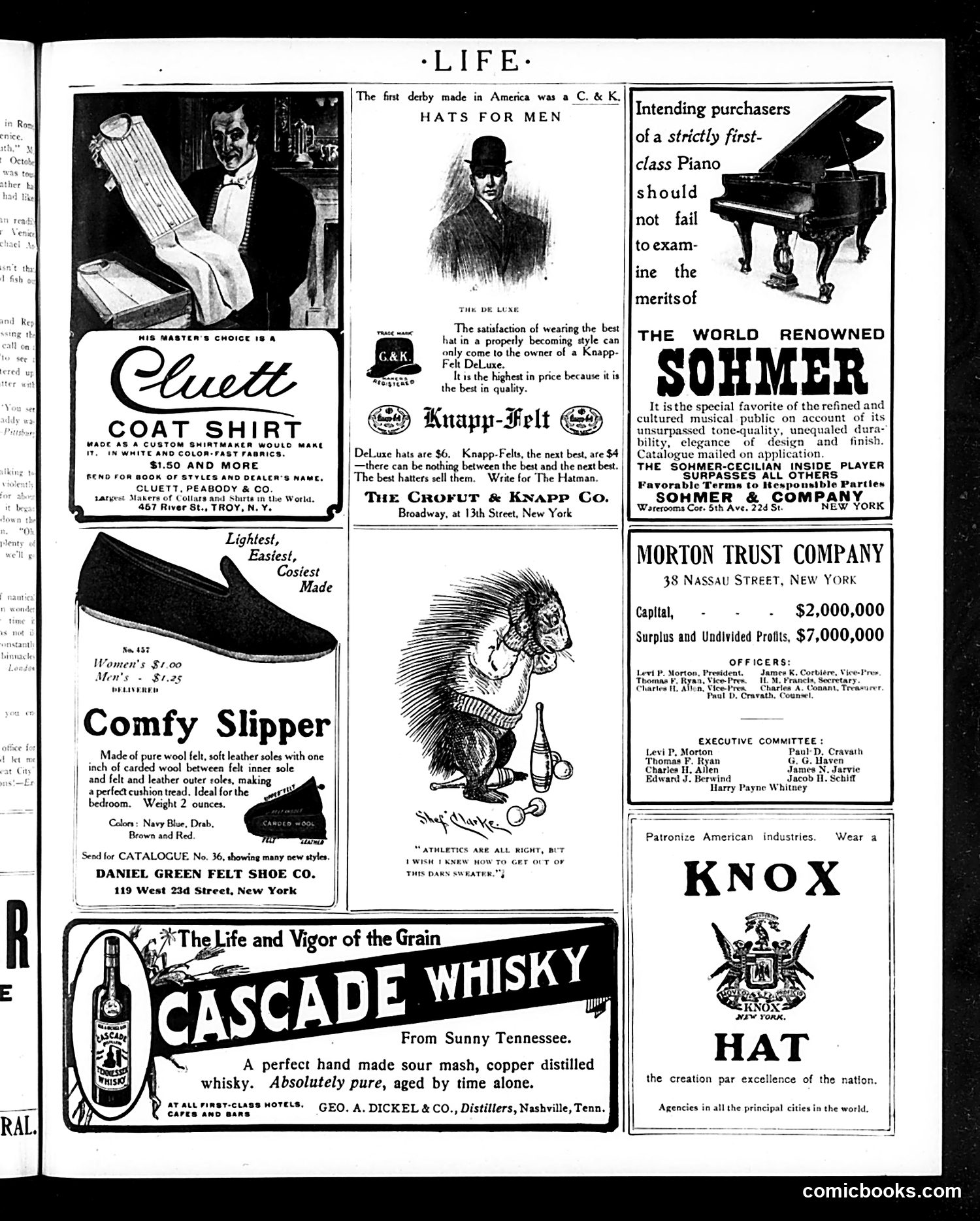 Life — March 29, 1906 — page 19 of 24