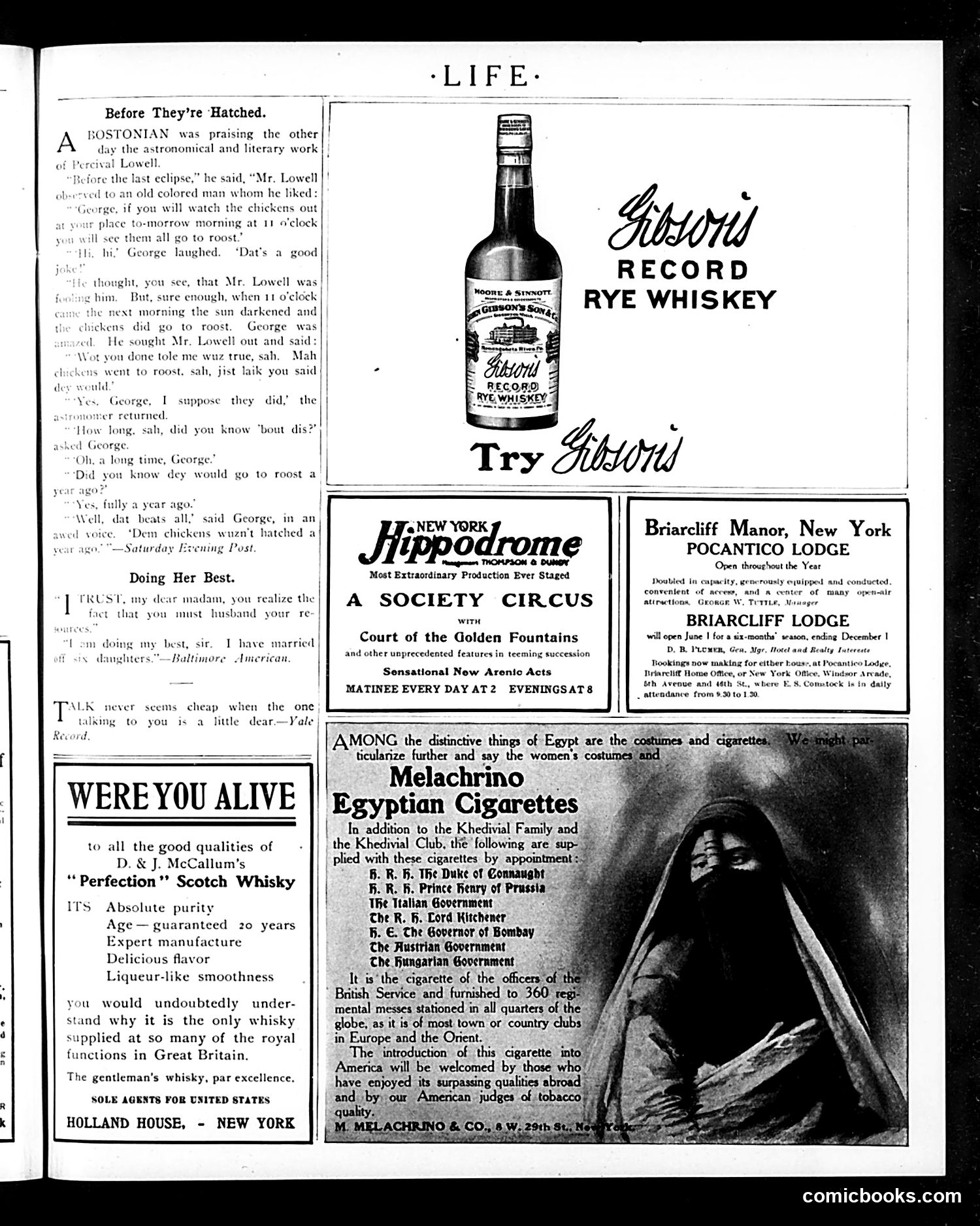 Life — March 29, 1906 — page 21 of 24
