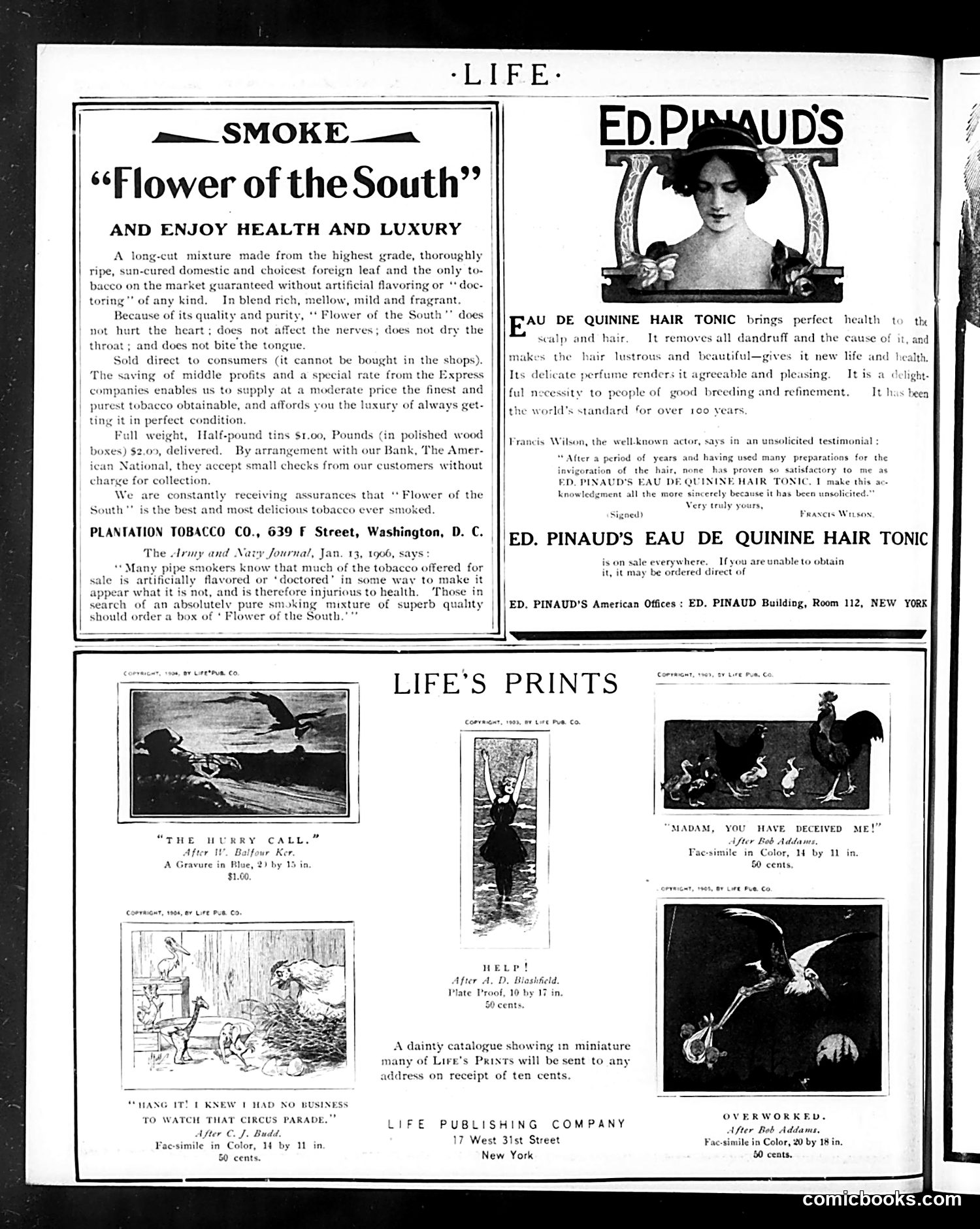 Life — April 5, 1906 — page 56 of 58
