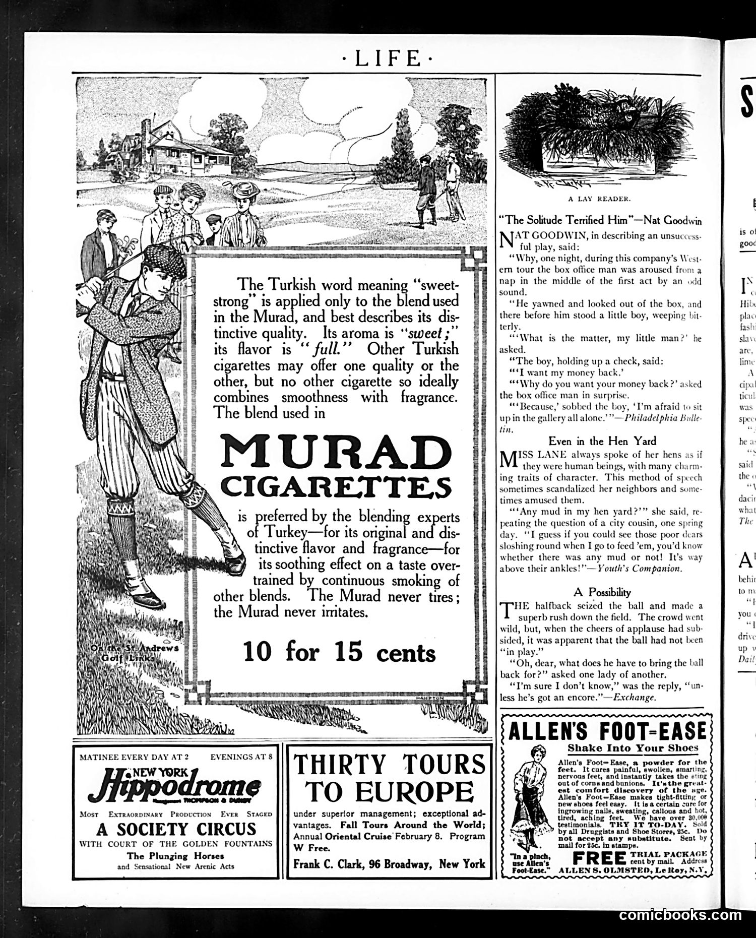 Life — April 19, 1906 — page 24 of 28
