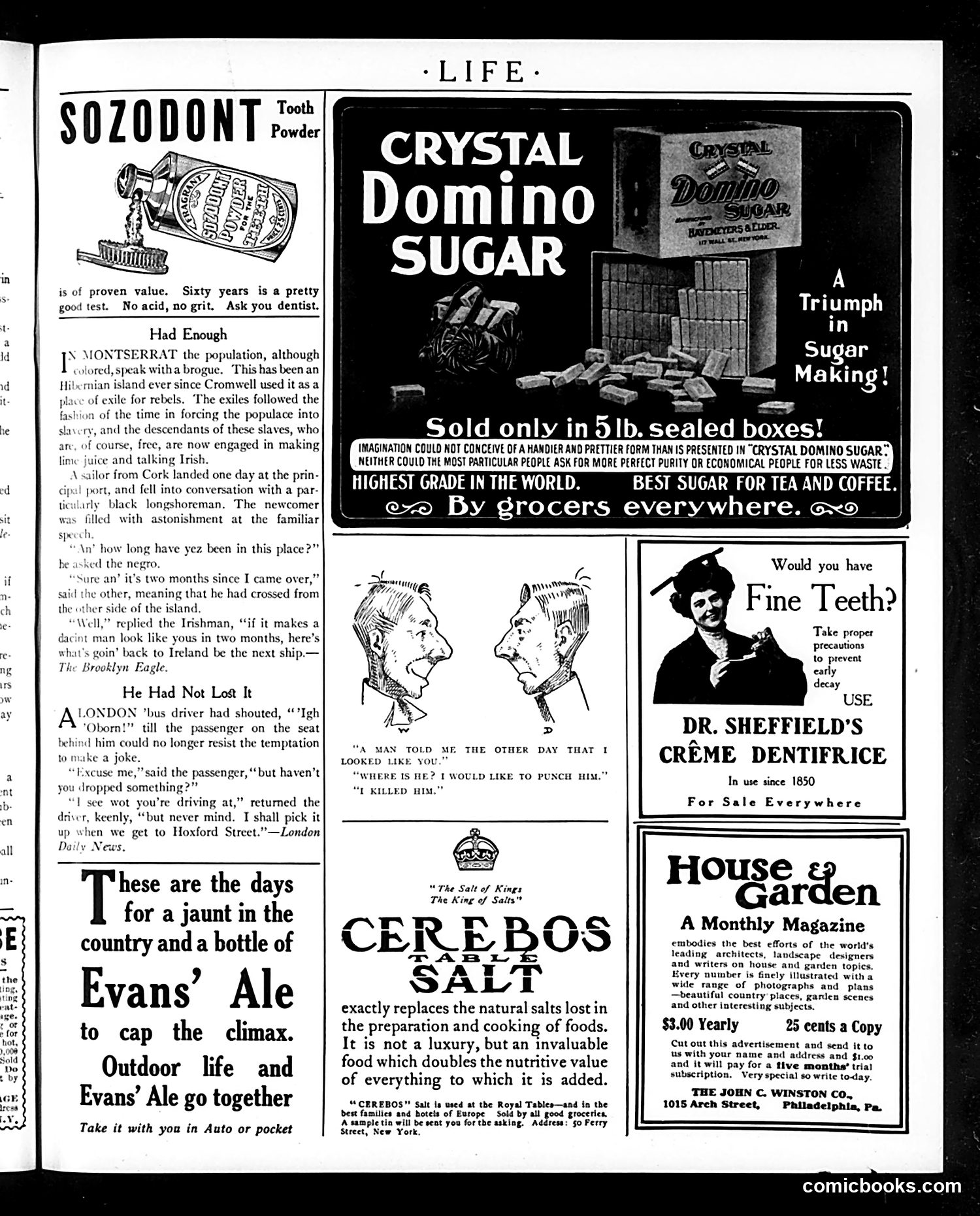 Life — April 19, 1906 — page 25 of 28
