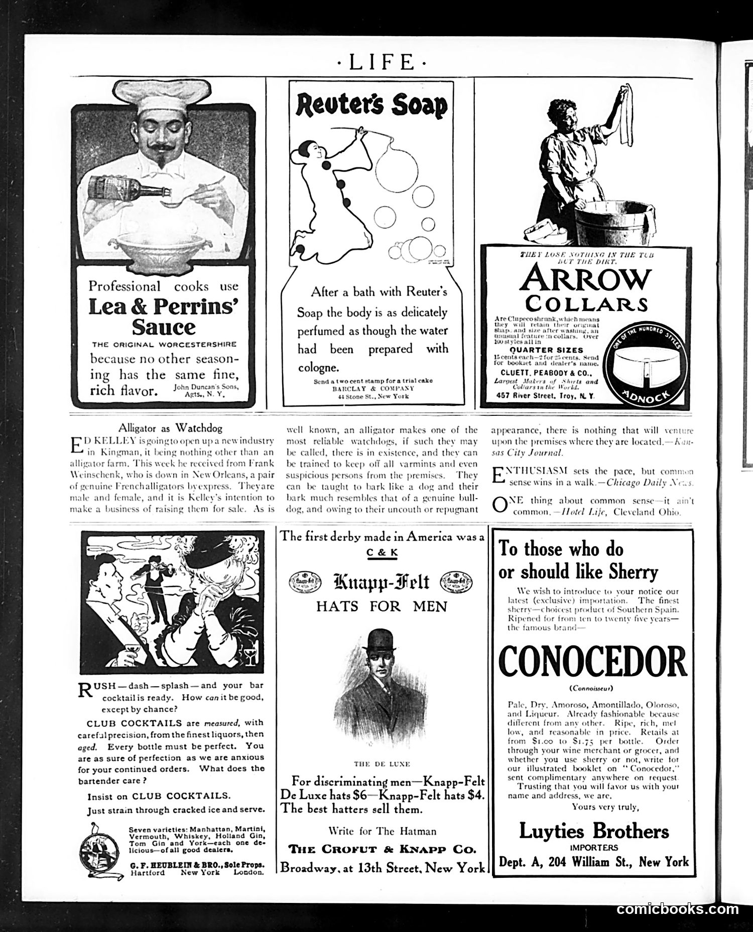Life — April 19, 1906 — page 26 of 28