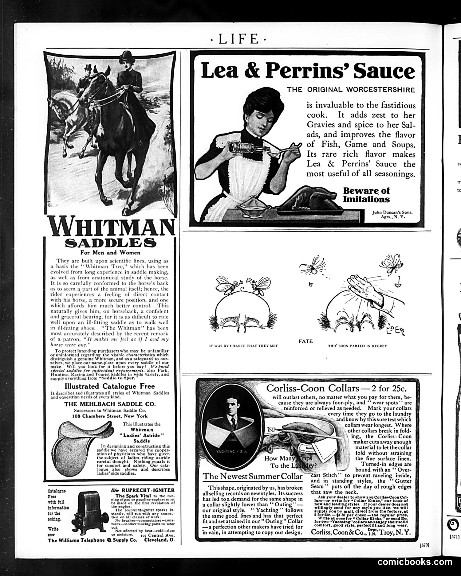 Life — May 3, 1906 — page 38 of 44