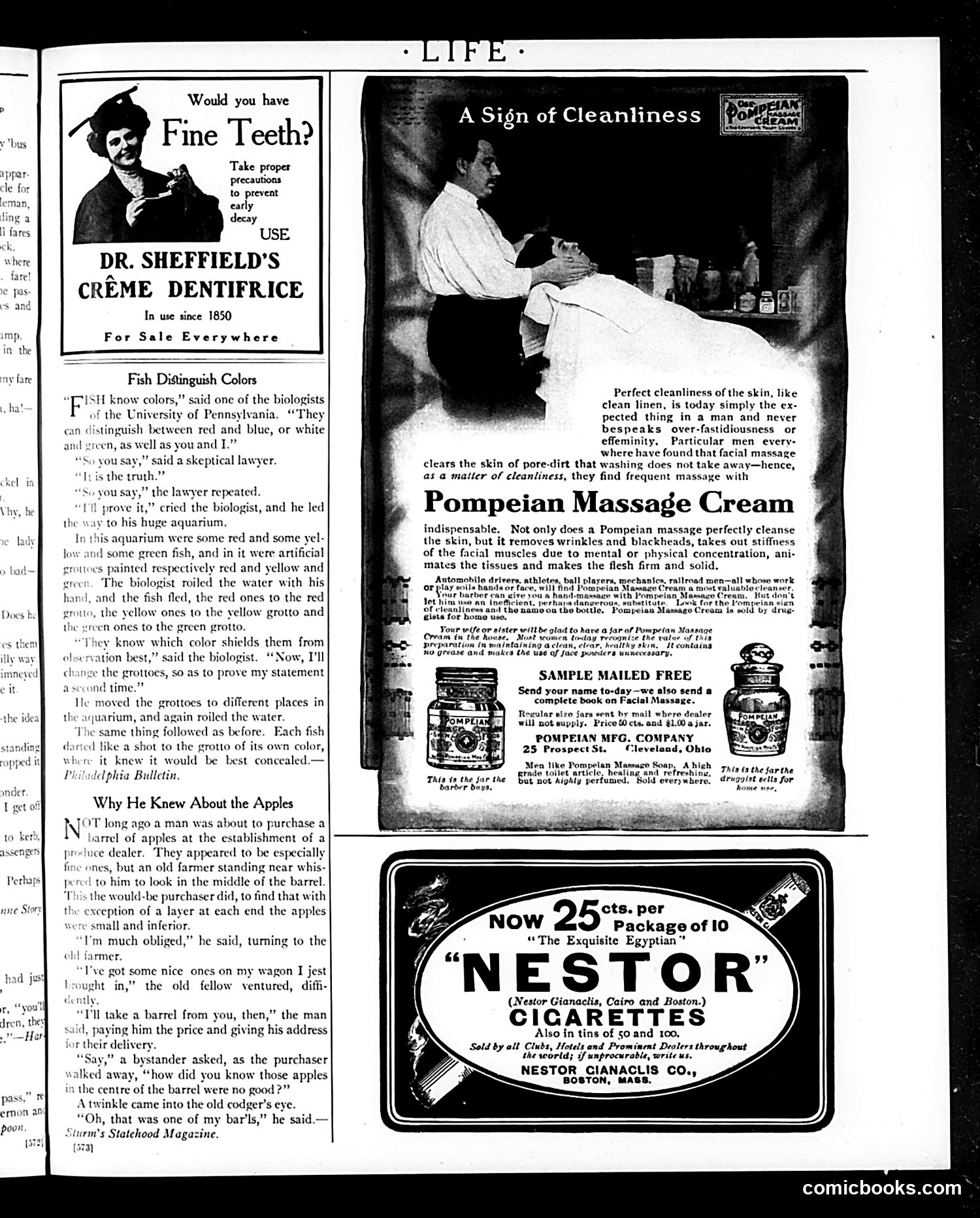 Life — May 3, 1906 — page 41 of 44