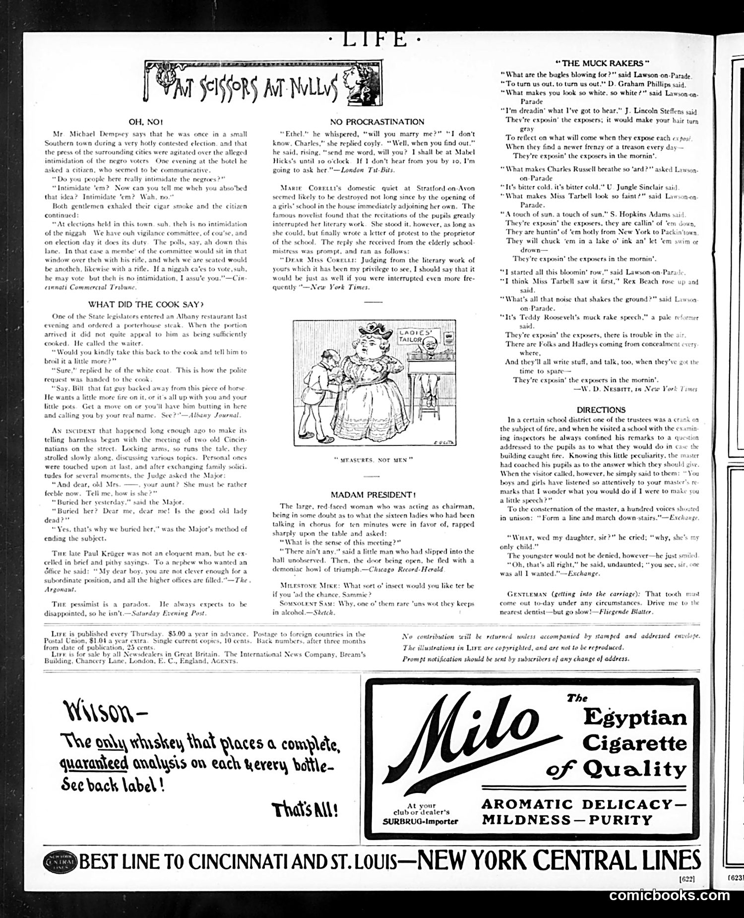 Life — May 17, 1906 — page 20 of 28