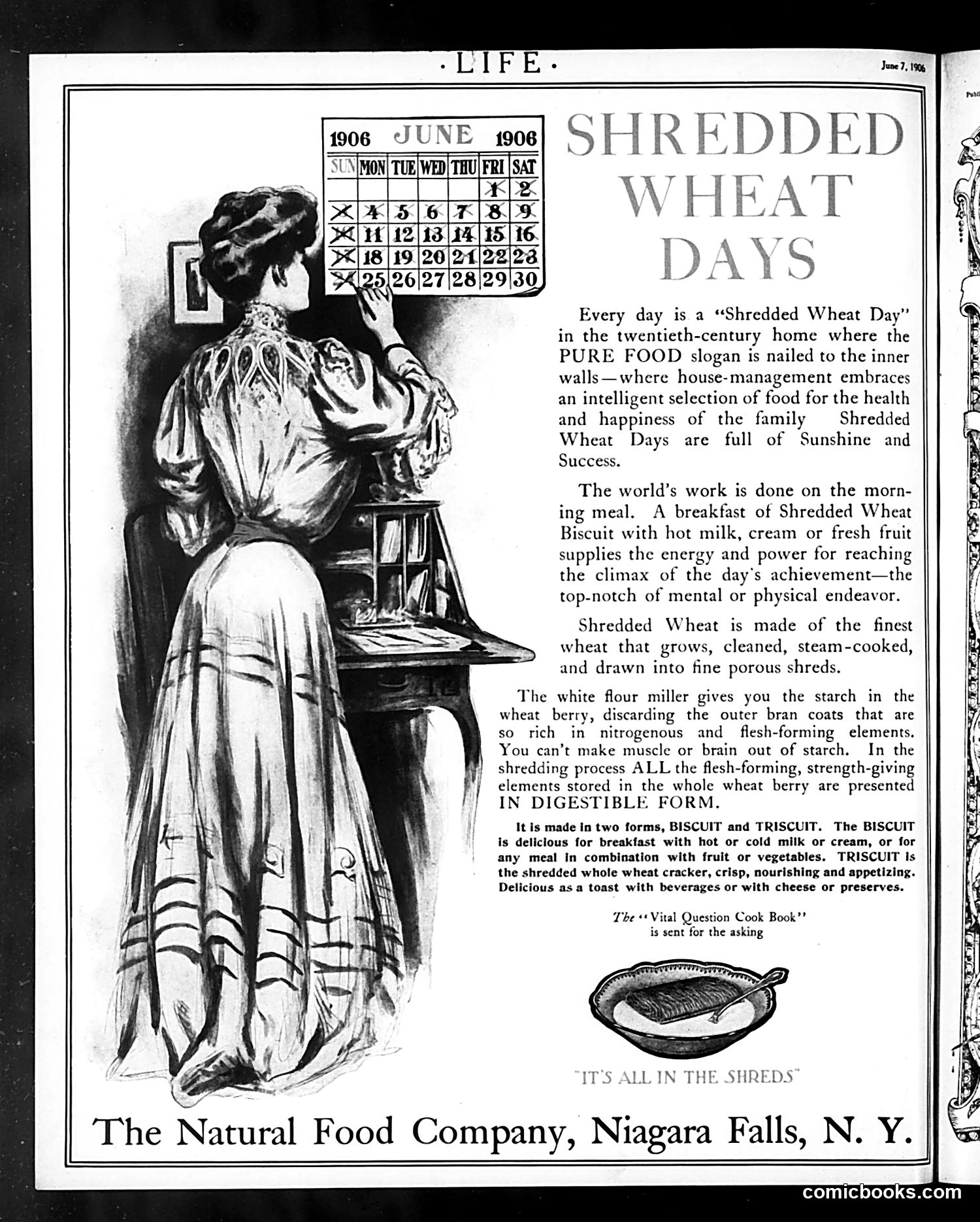 Life — June 7, 1906 — page 42 of 42