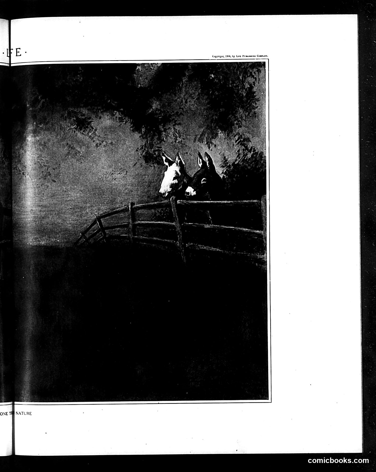 Life — June 14, 1906 — page 13 of 24