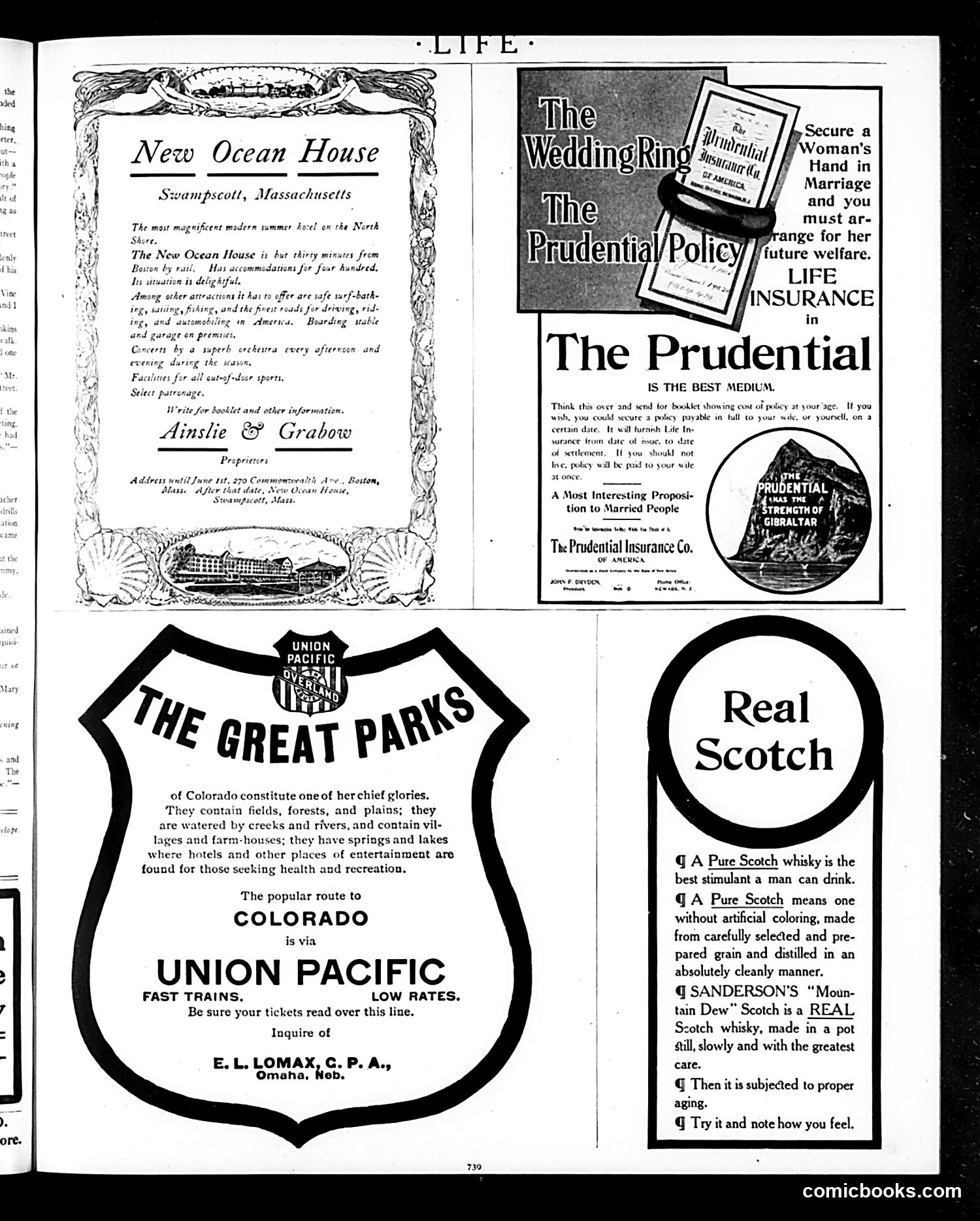 Life — June 14, 1906 — page 19 of 24