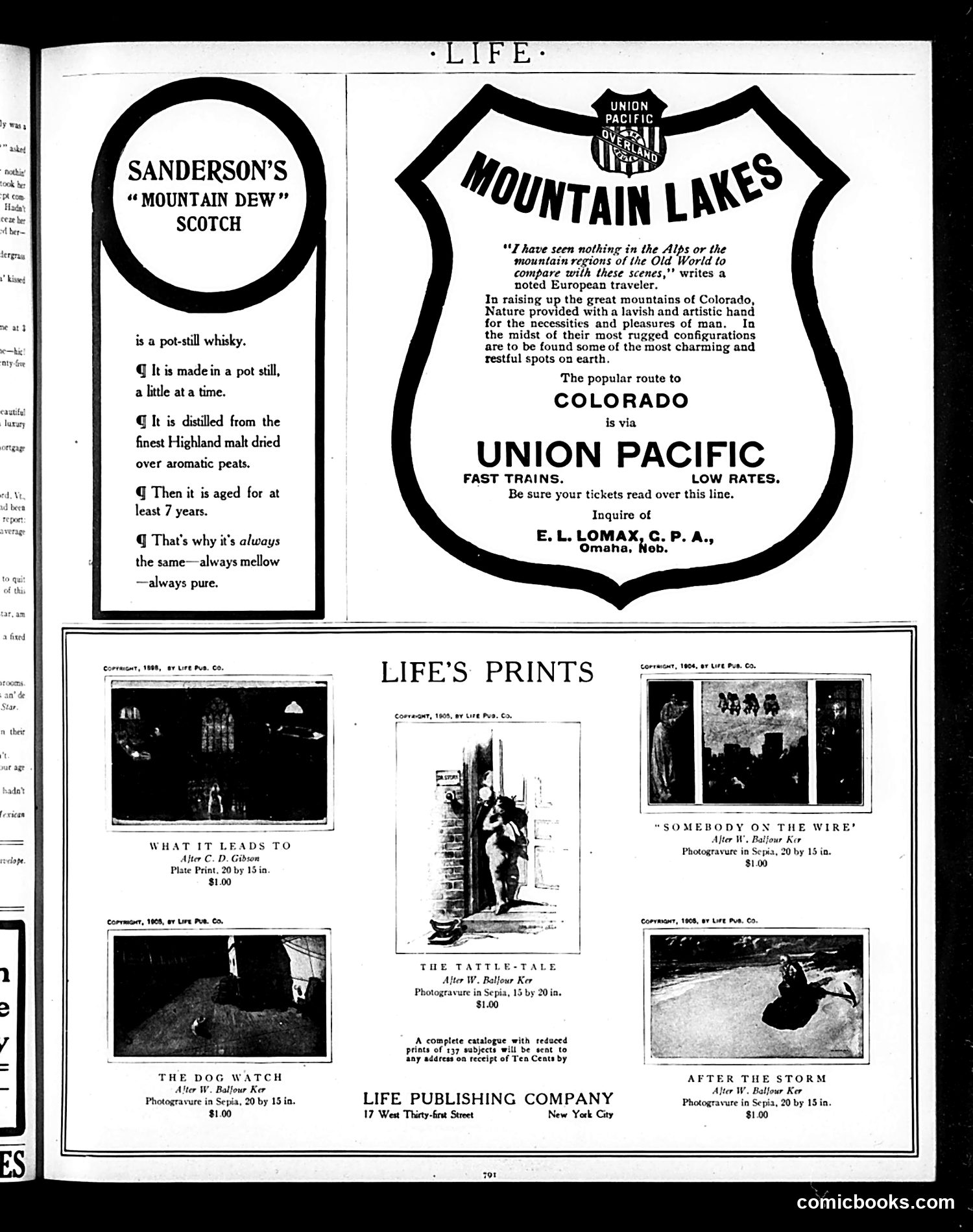 Life — June 28, 1906 — page 19 of 25