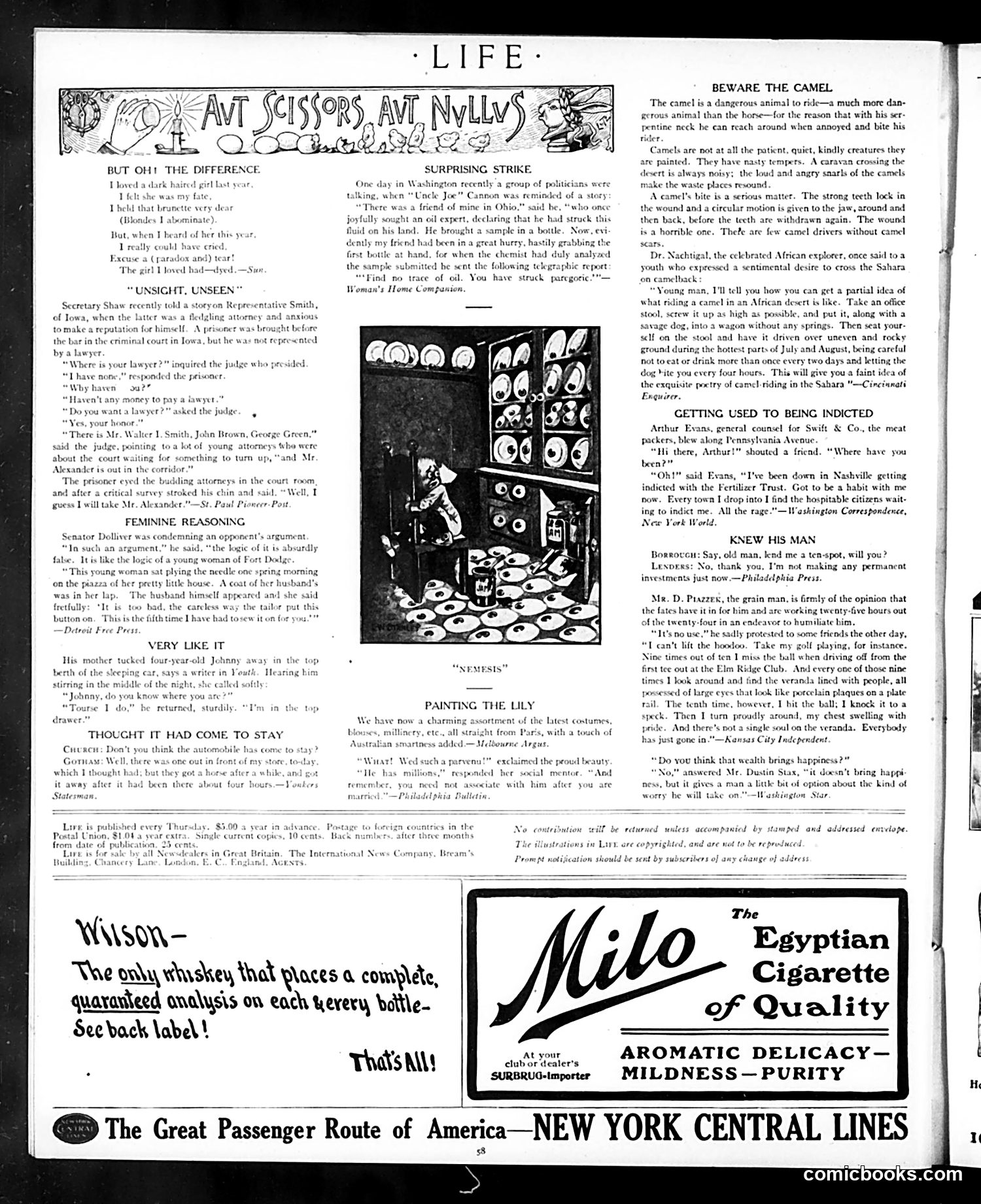Life — July 12, 1906 — page 18 of 24