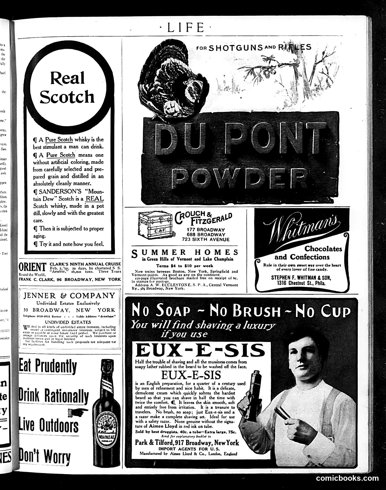 Life — July 26, 1906 — page 17 of 20