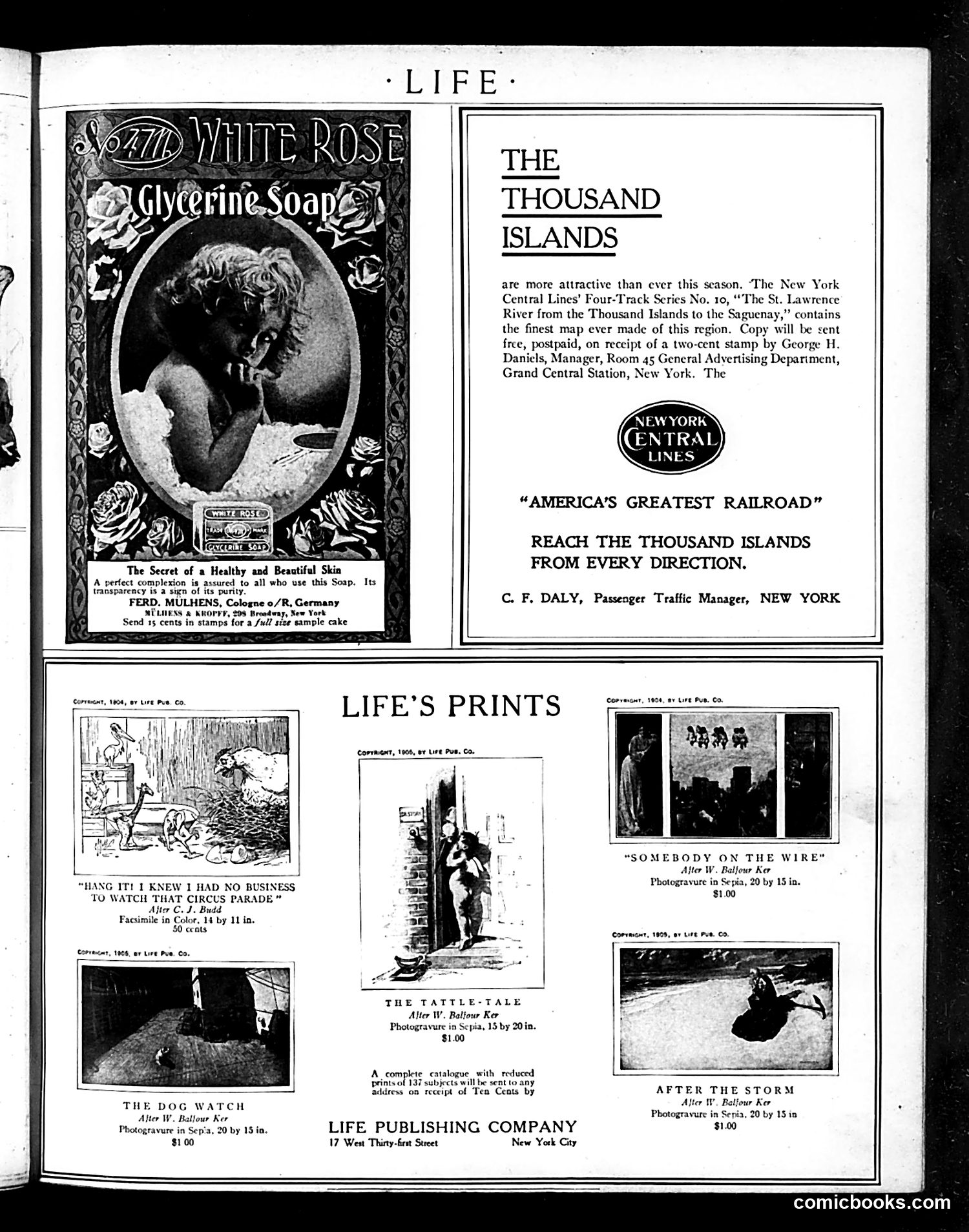 Life — August 2, 1906 — page 39 of 40
