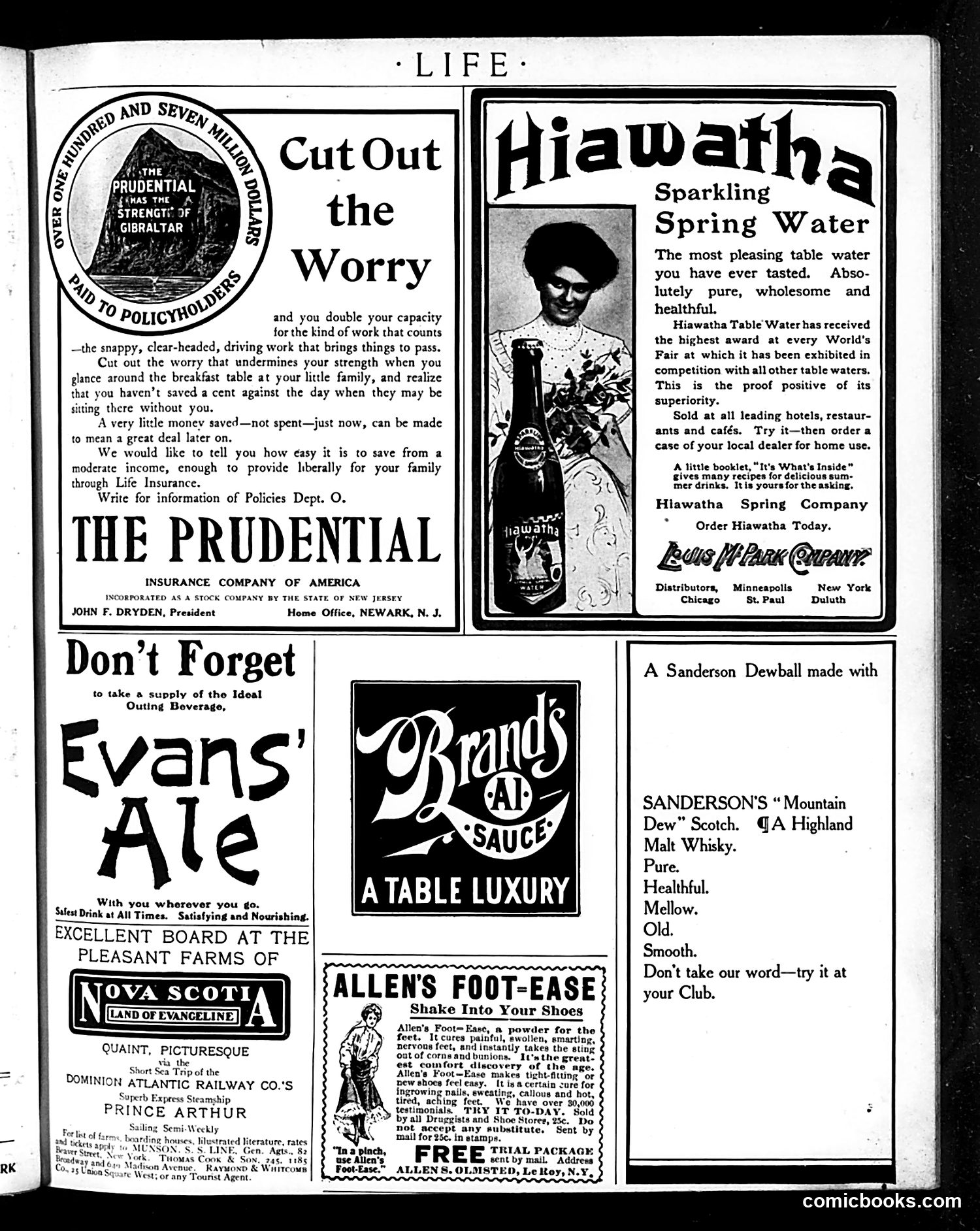Life — August 16, 1906 — page 23 of 24