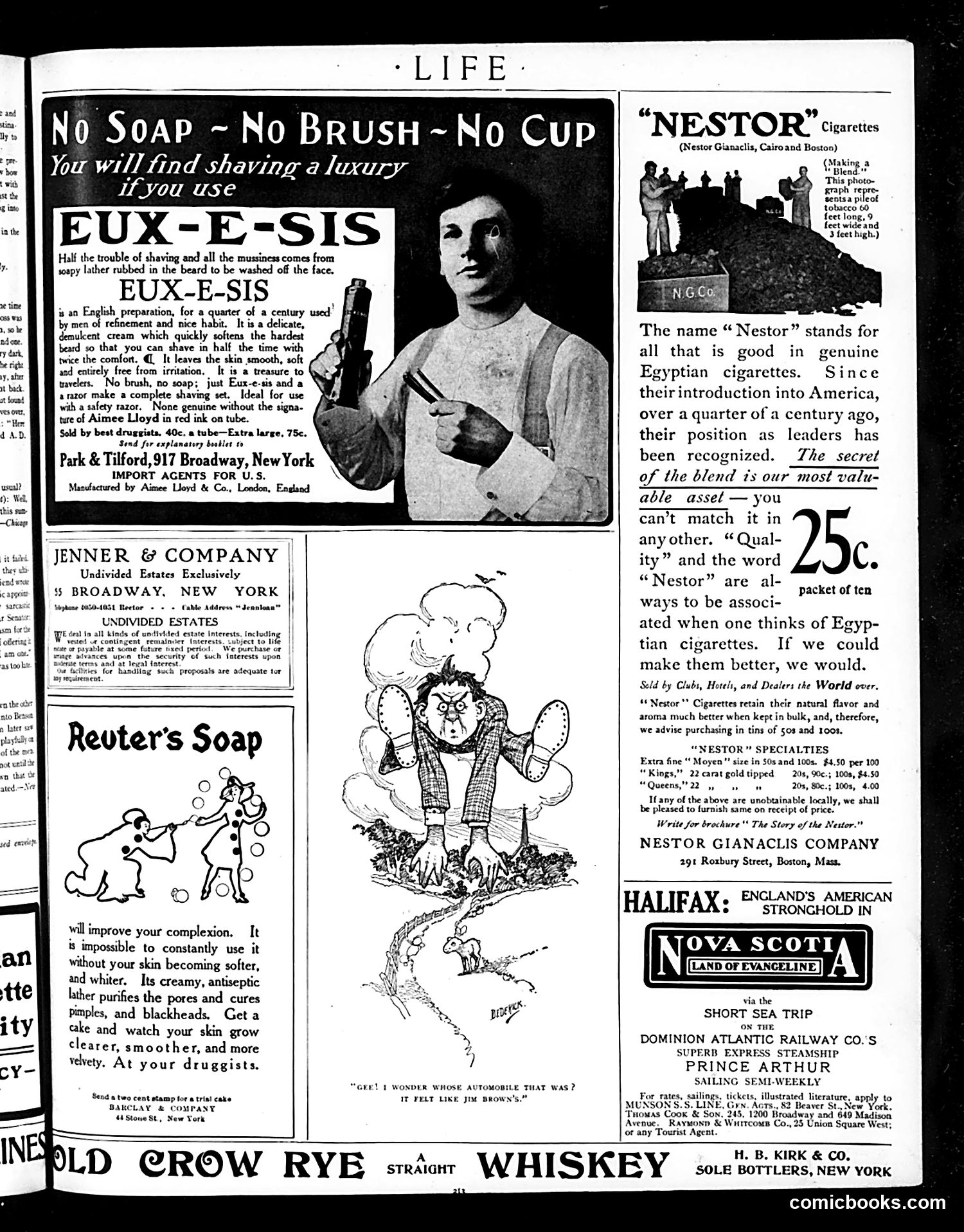 Life — August 23, 1906 — page 17 of 20