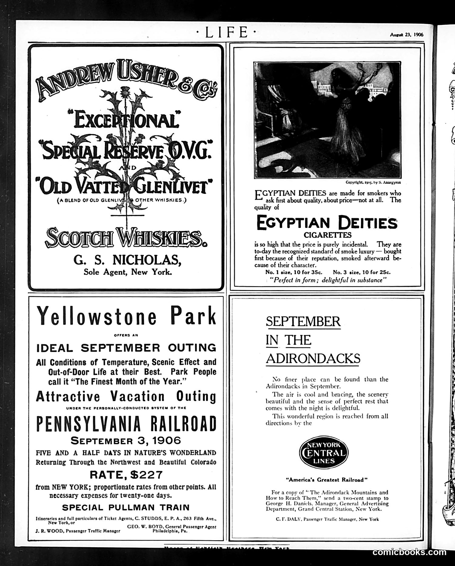 Life — August 23, 1906 — page 20 of 20