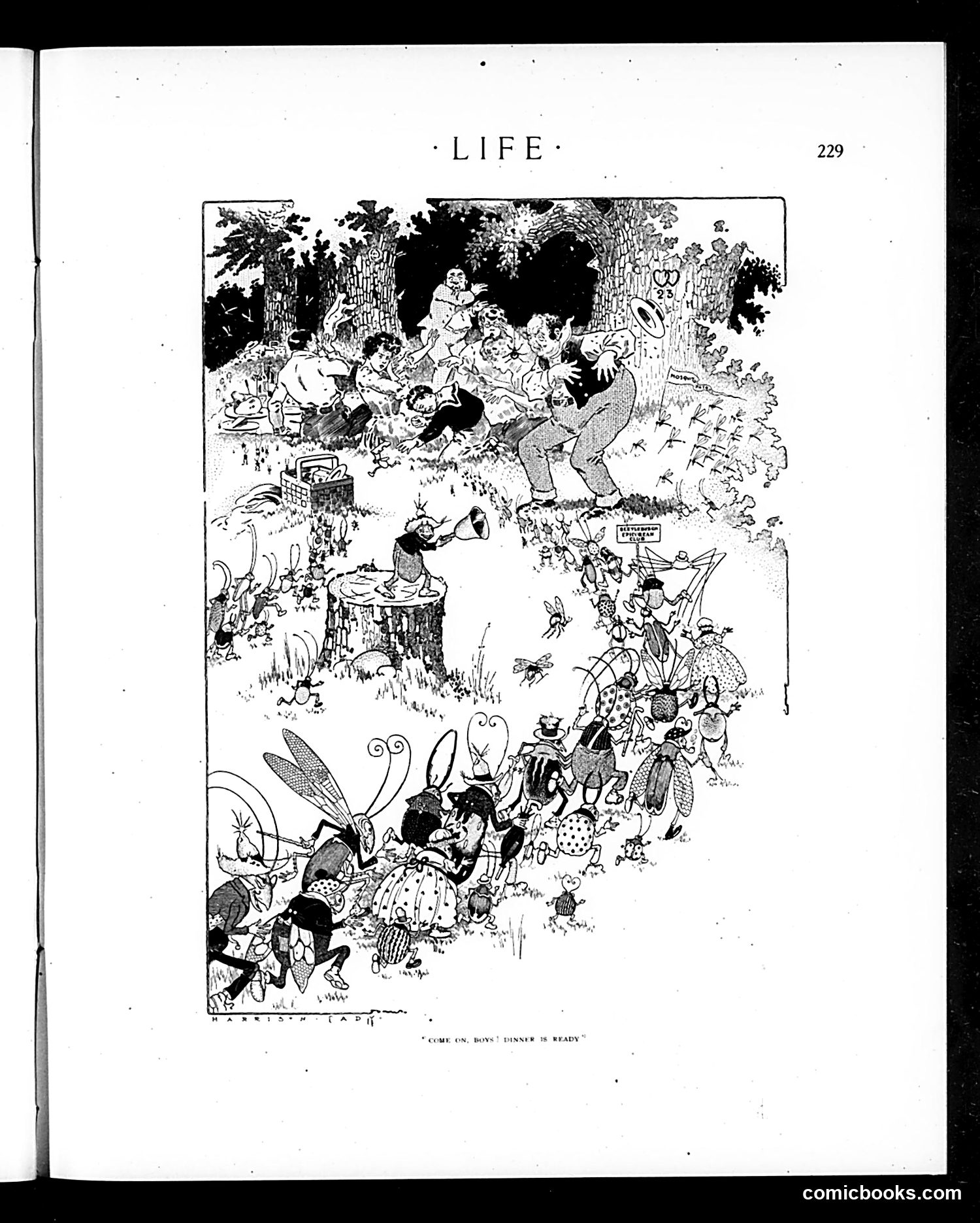 Life — August 30, 1906 — page 13 of 20