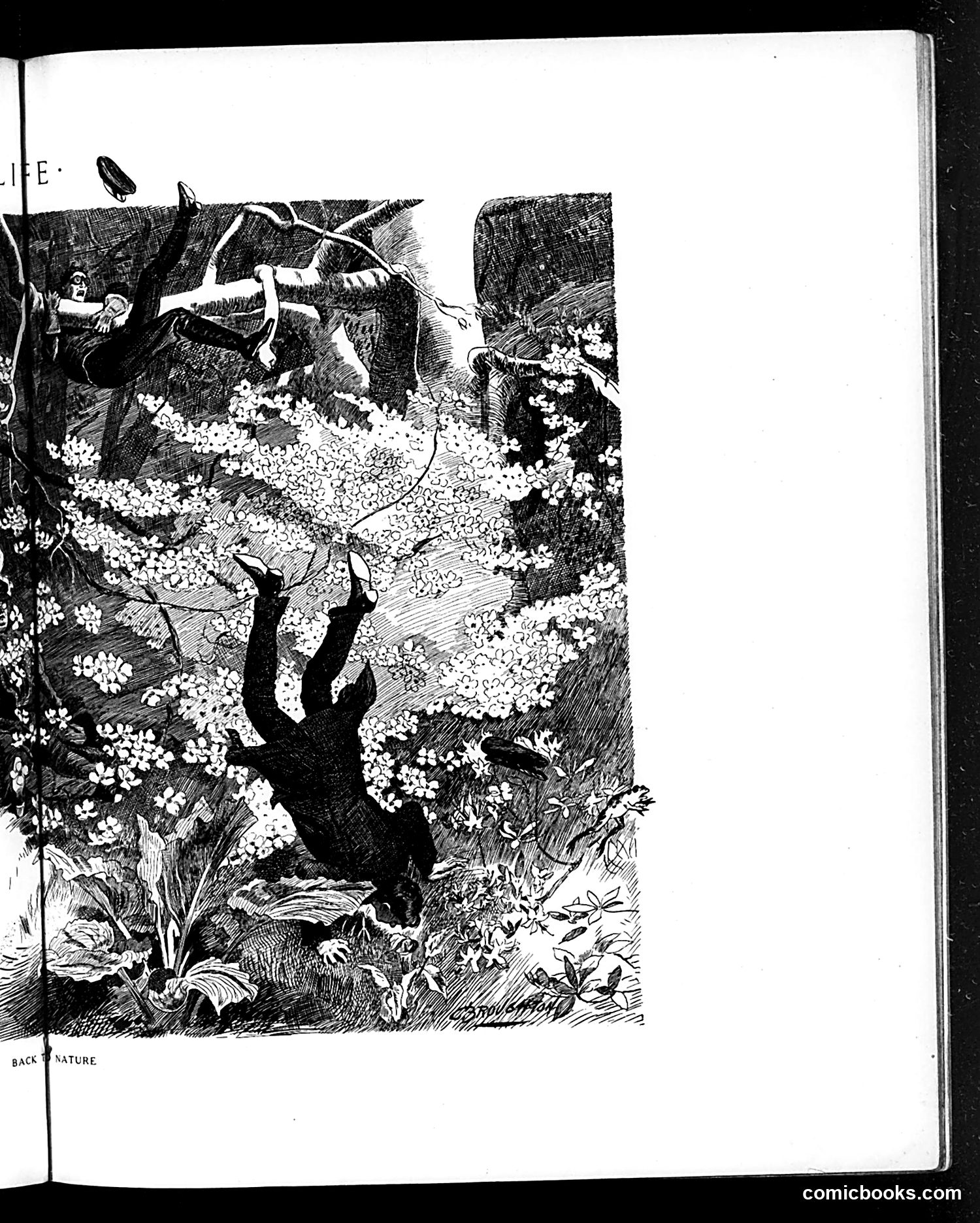 Life — September 27, 1906 — page 13 of 24