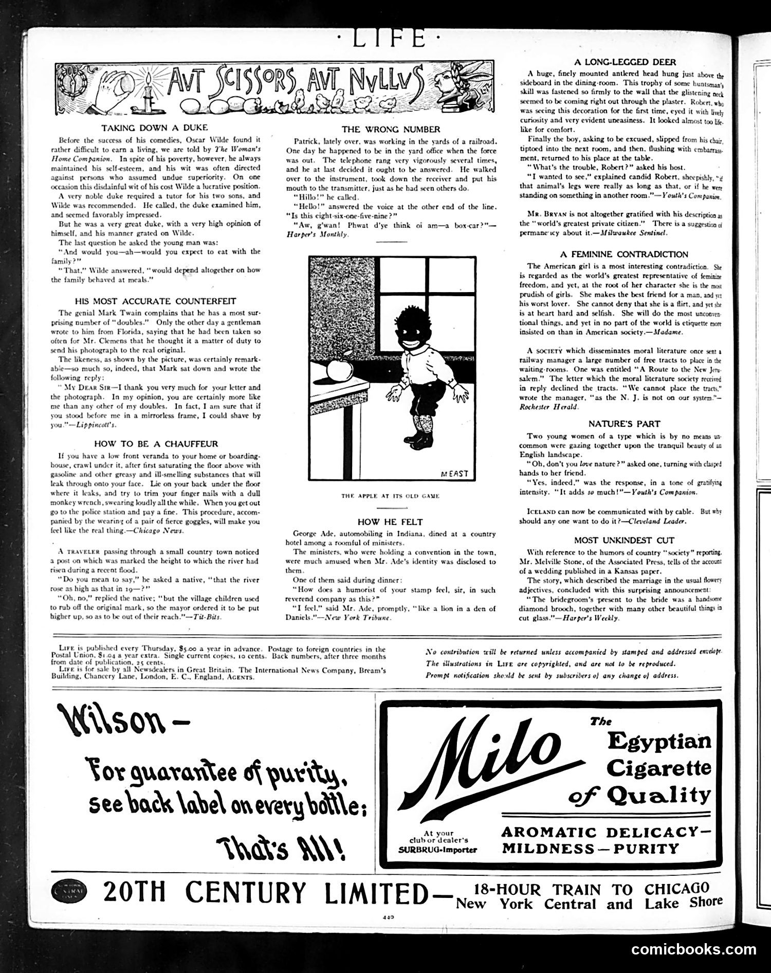 Life — October 18, 1906 — page 20 of 28