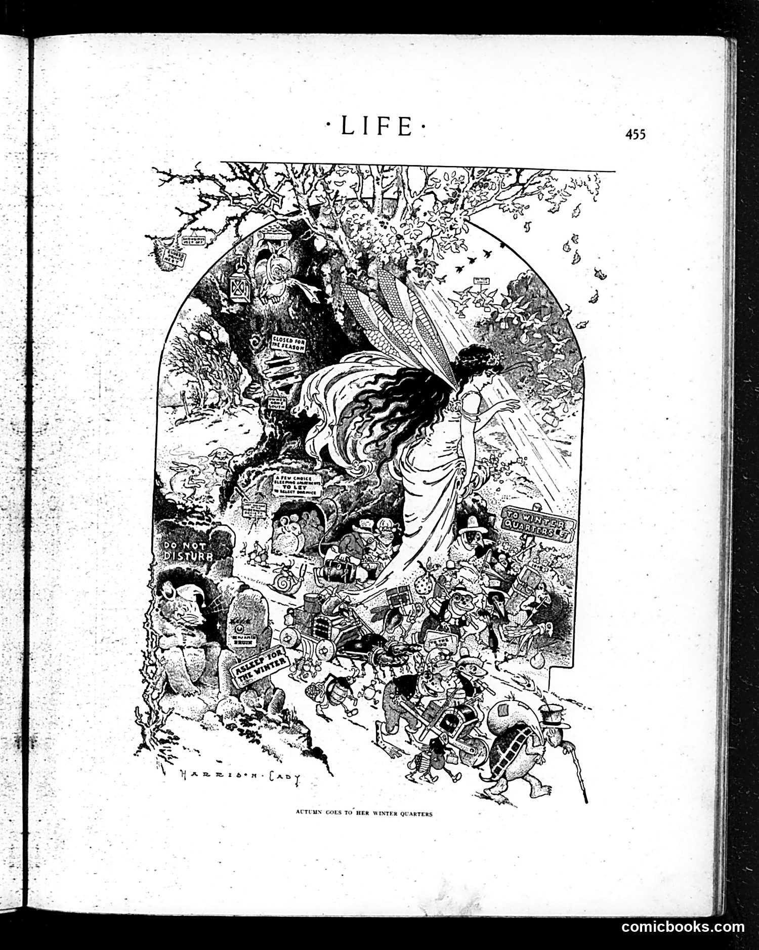 Life — October 25, 1906 — page 7 of 24