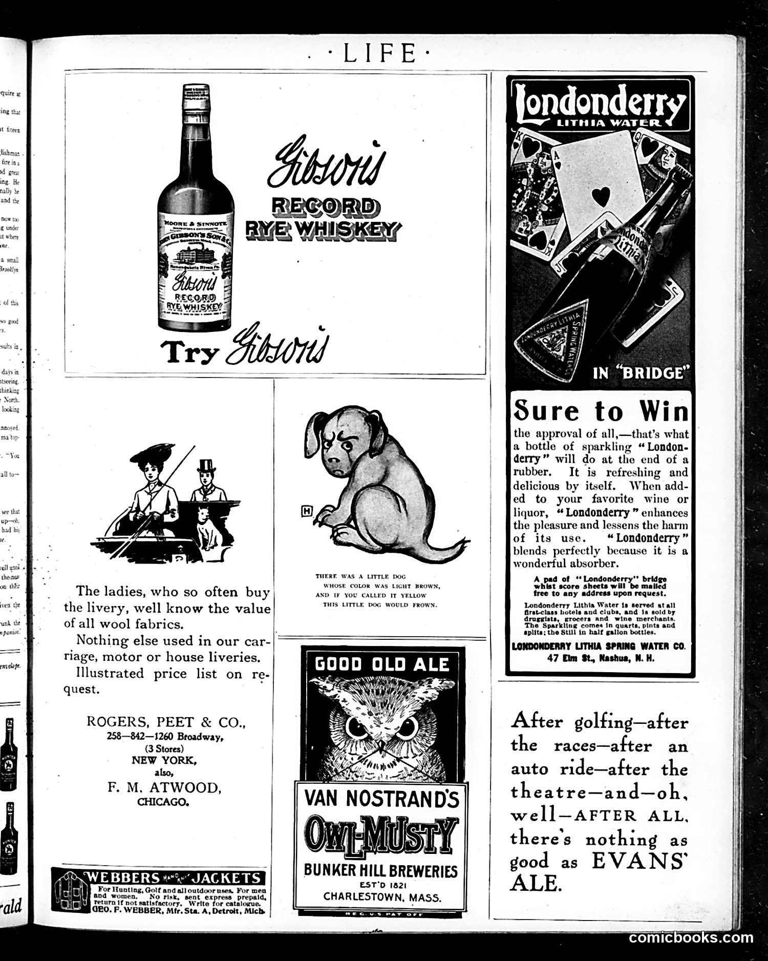 Life — October 25, 1906 — page 19 of 24