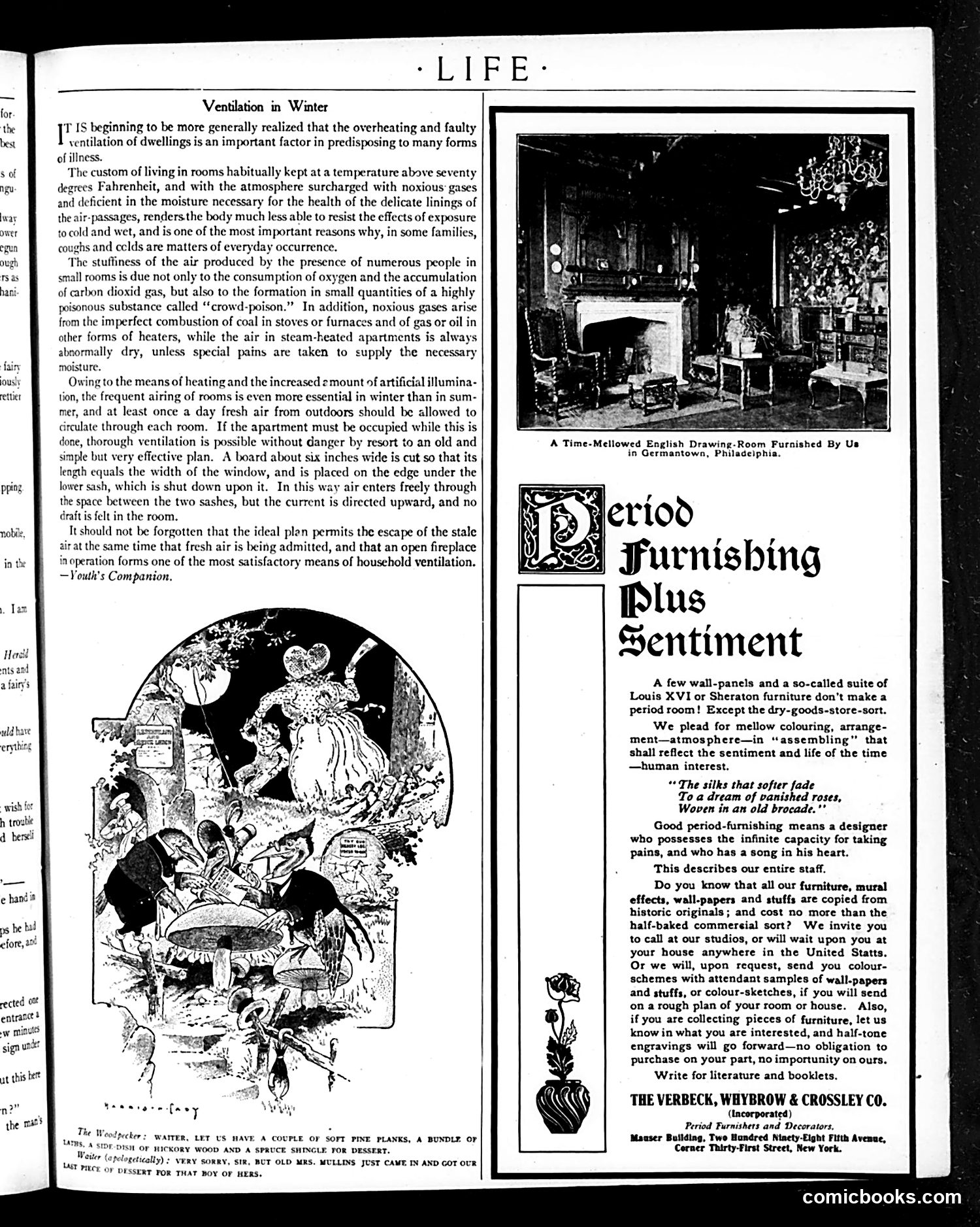 Life — November 1, 1906 — page 43 of 56