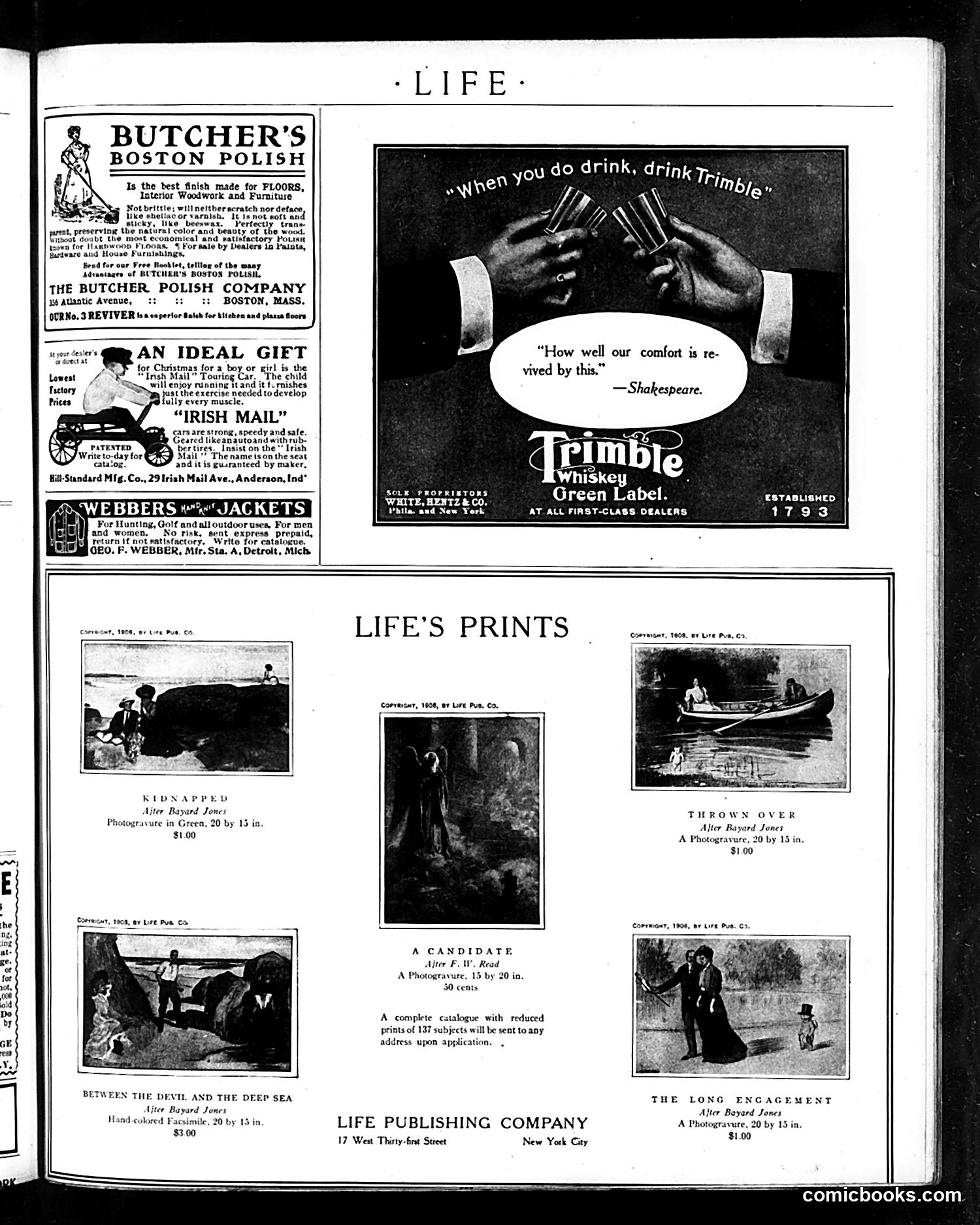 Life — November 8, 1906 — page 29 of 30