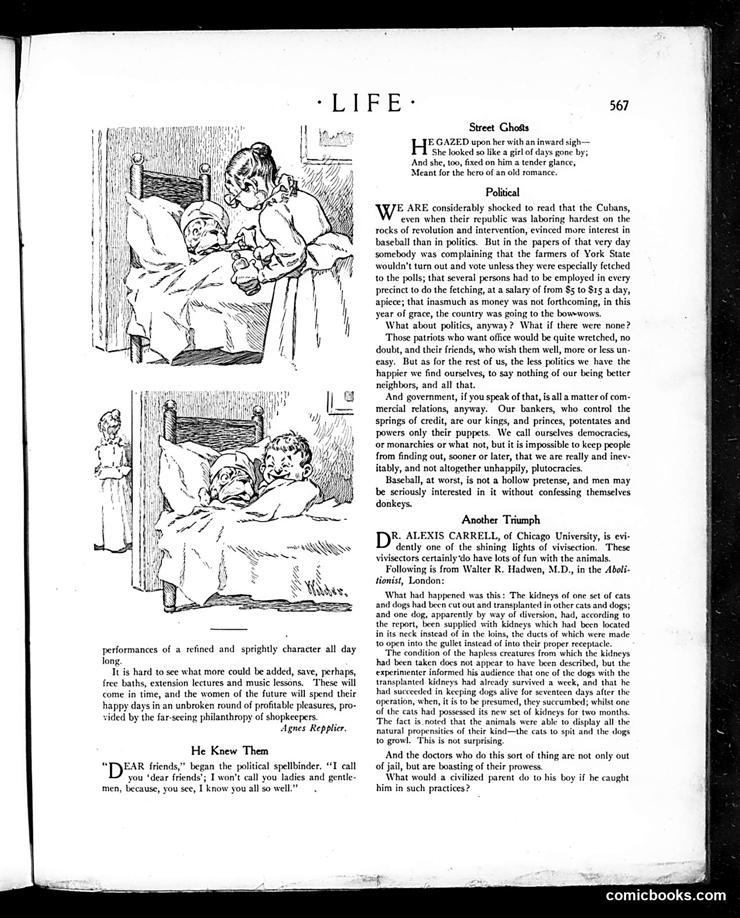 Life — November 15, 1906 — page 15 of 36