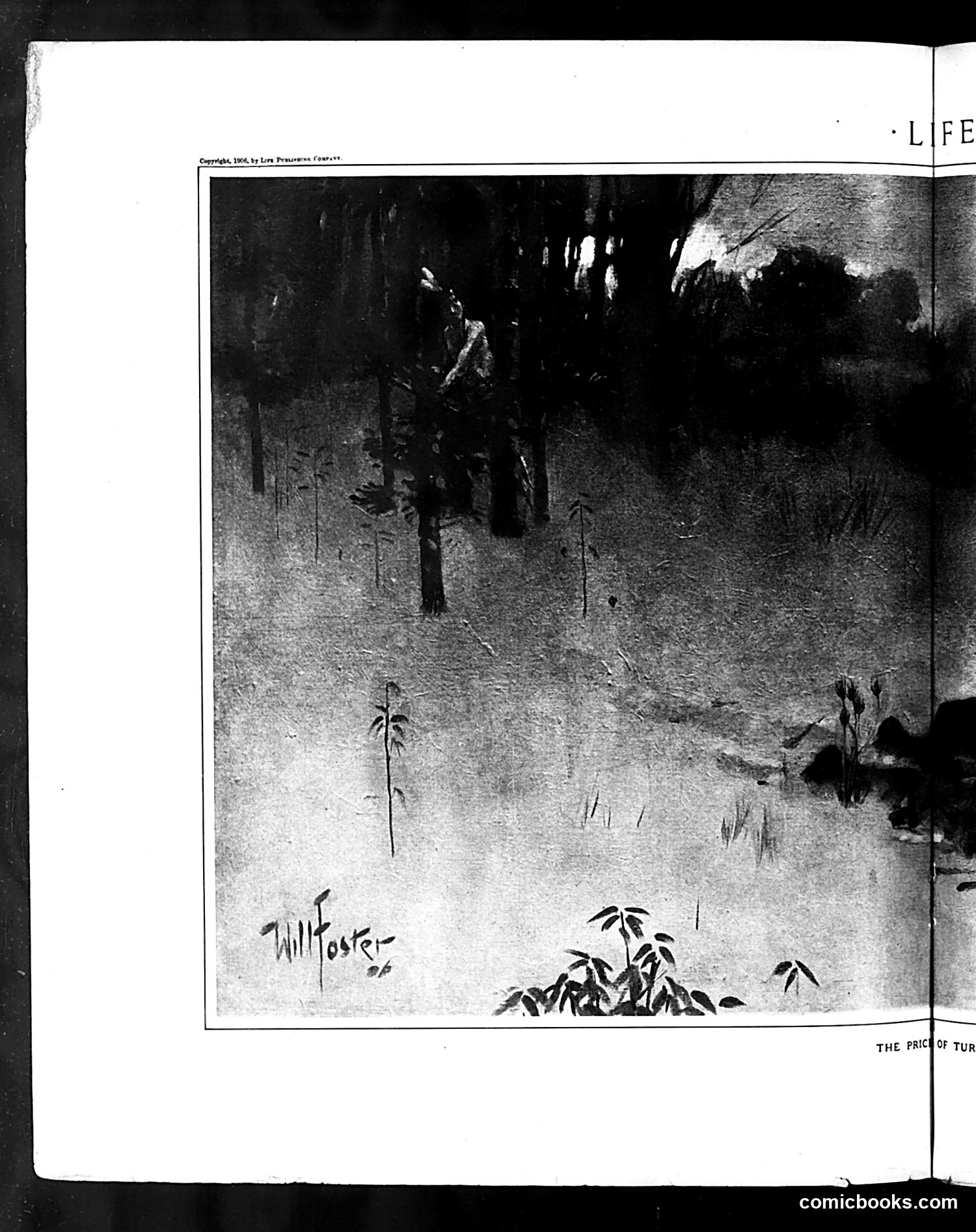 Life — November 15, 1906 — page 18 of 36