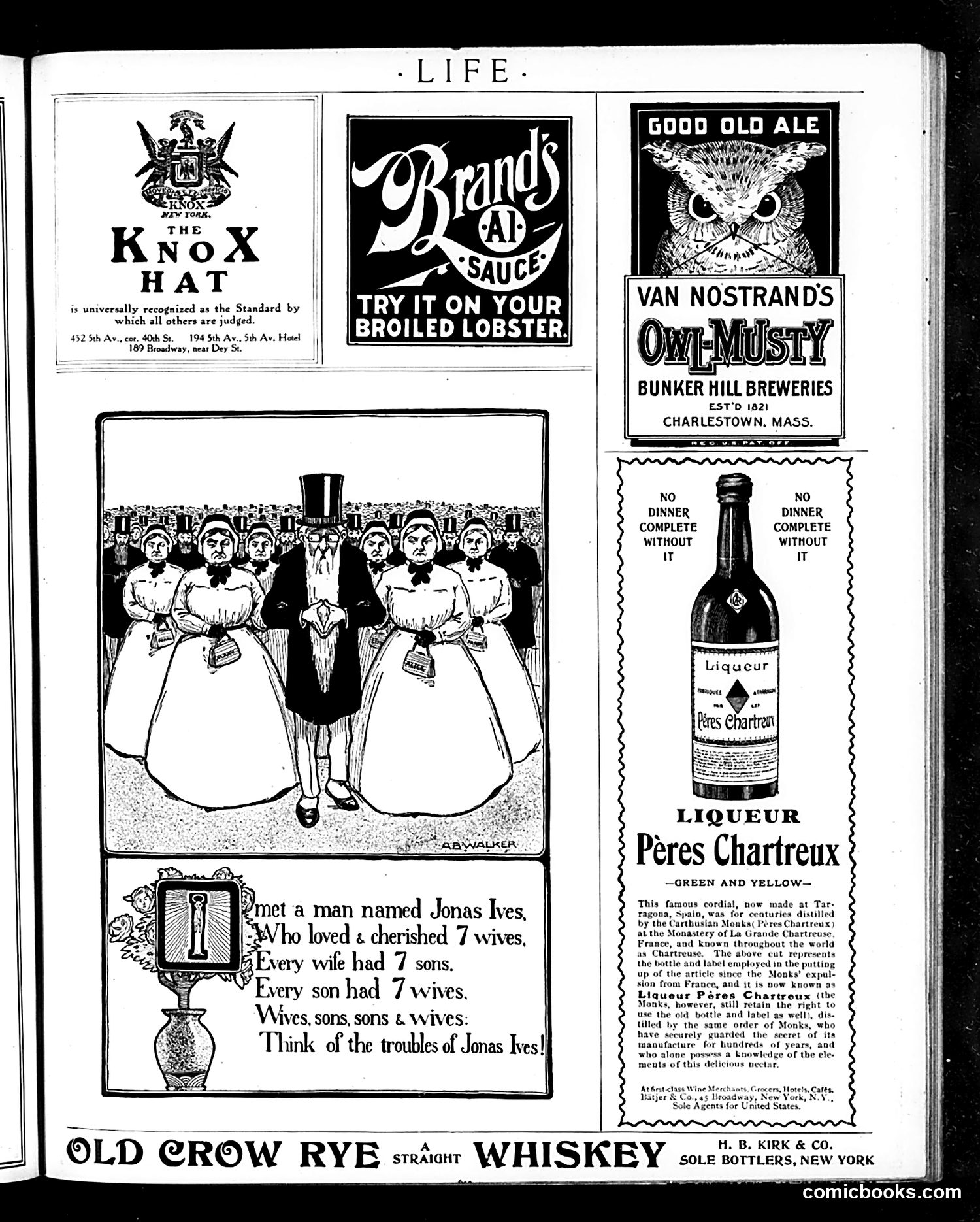 Life — November 22, 1906 — page 25 of 28