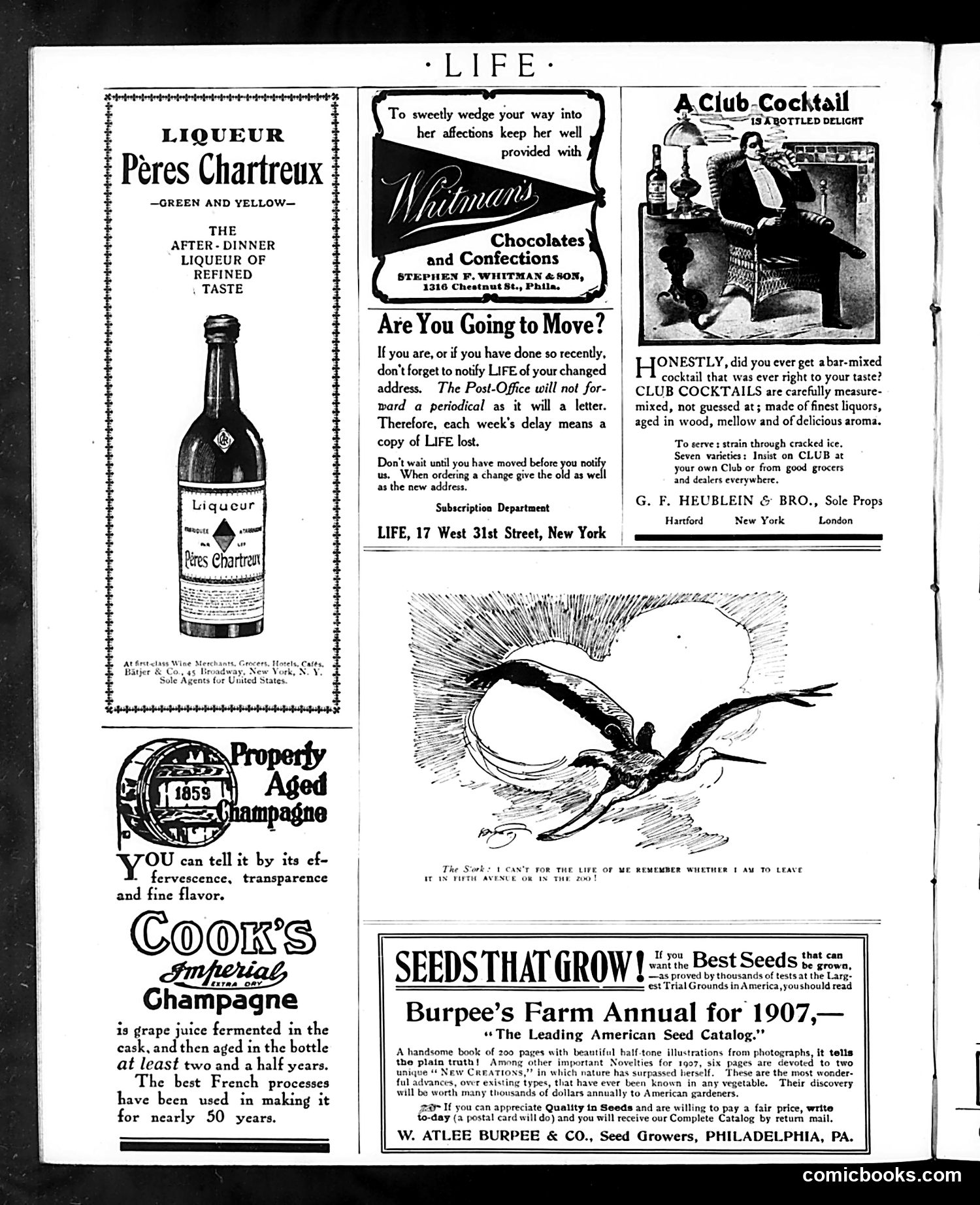 Life — January 31, 1907 — page 22 of 24