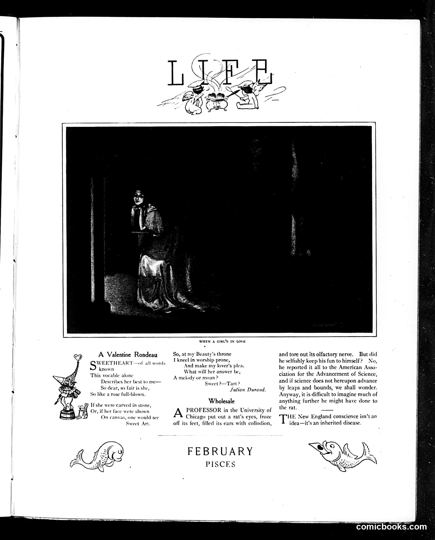 Life — February 7, 1907 — page 17 of 52