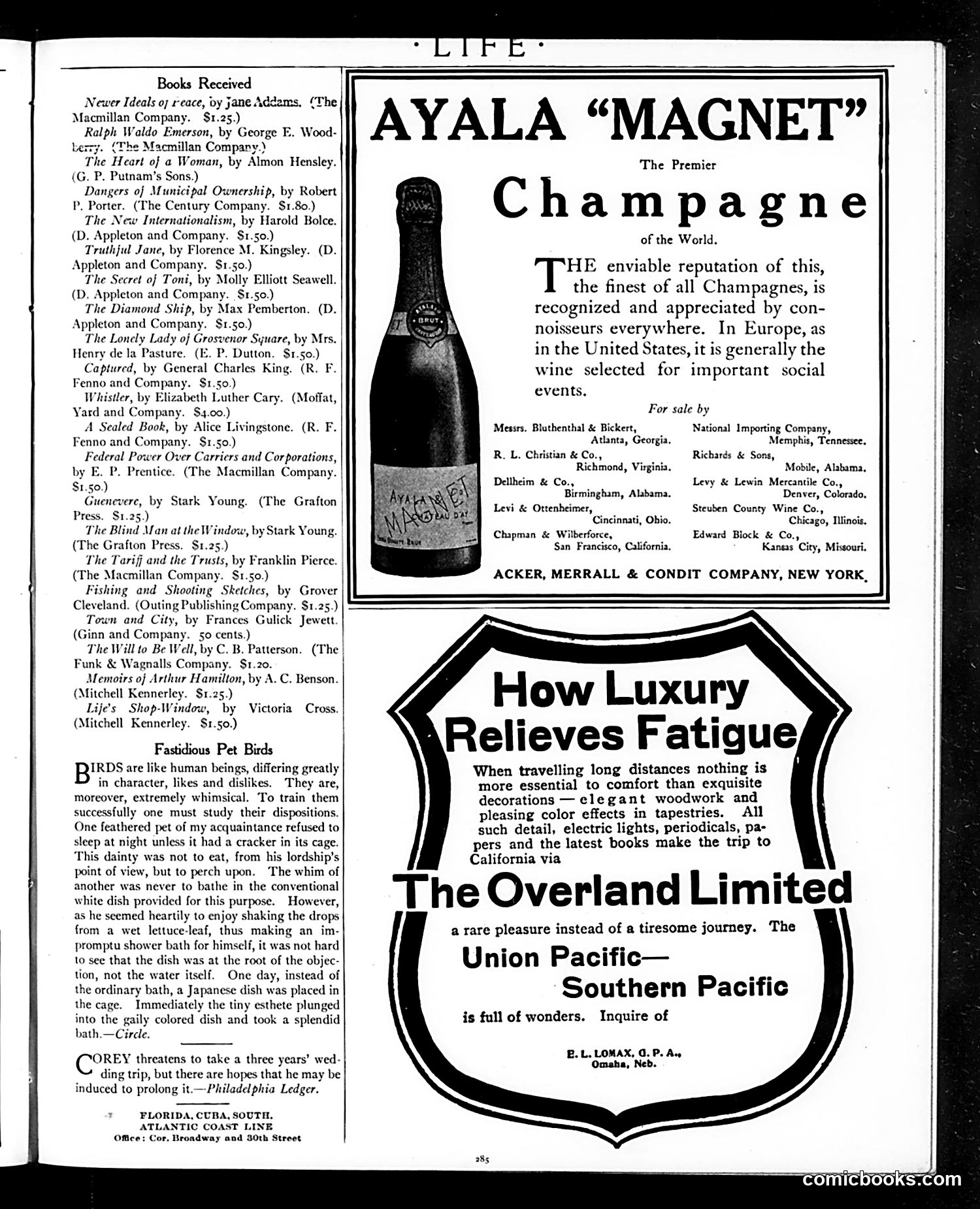 Life — February 21, 1907 — page 29 of 36