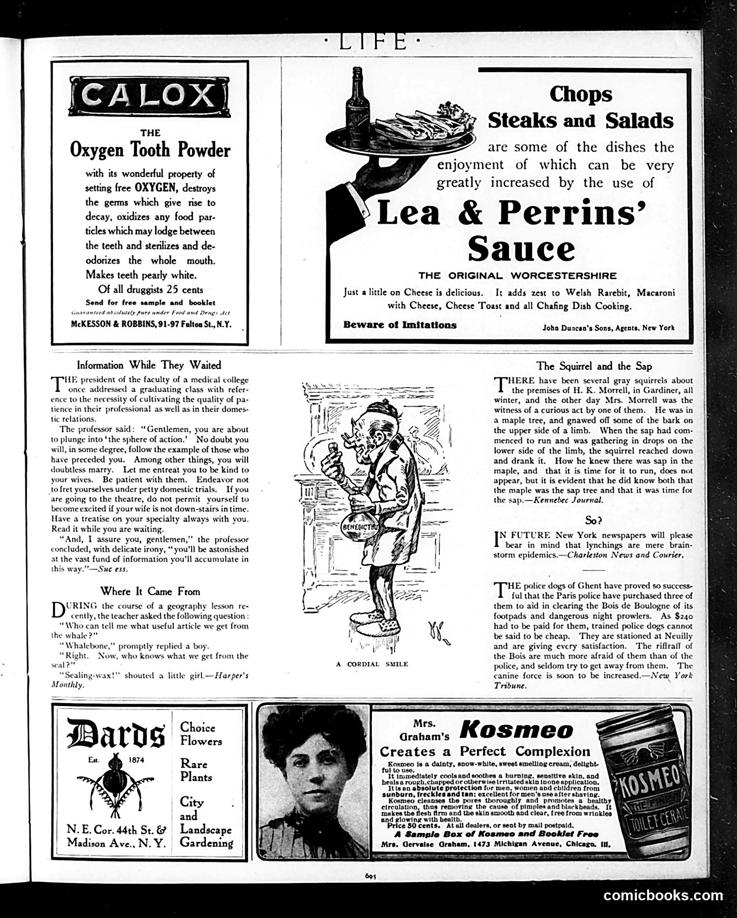 Life — May 16, 1907 — page 31 of 36