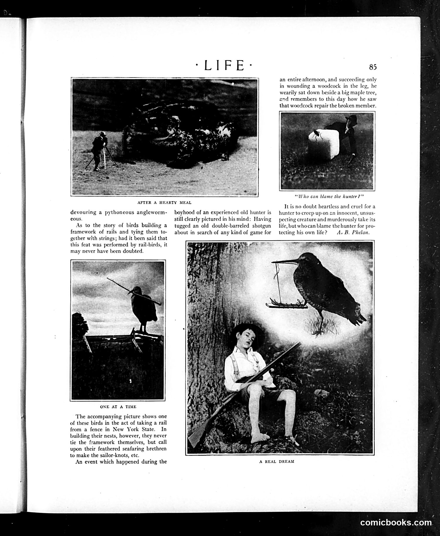 Life — July 18, 1907 — page 13 of 28
