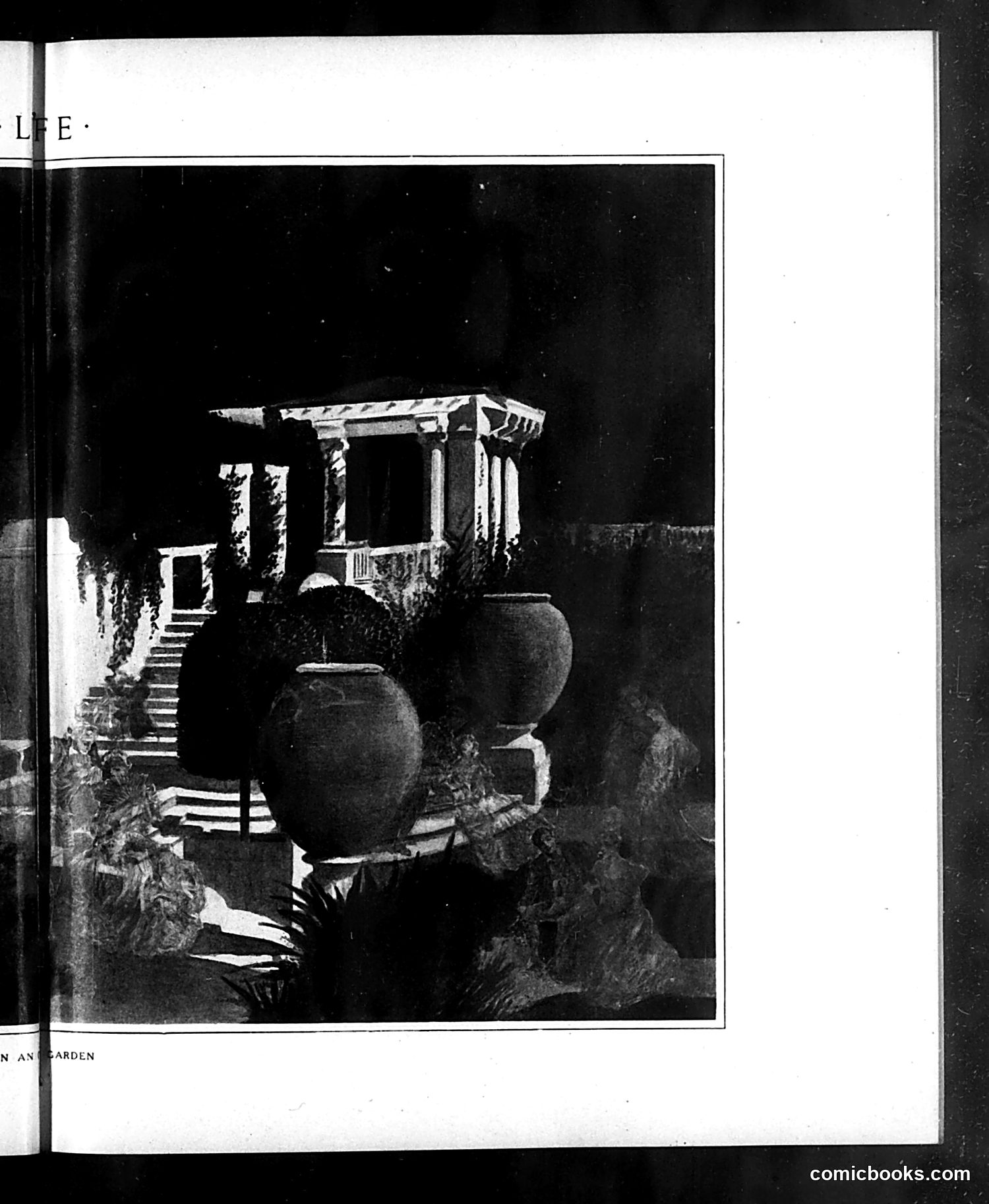 Life — August 15, 1907 — page 15 of 28
