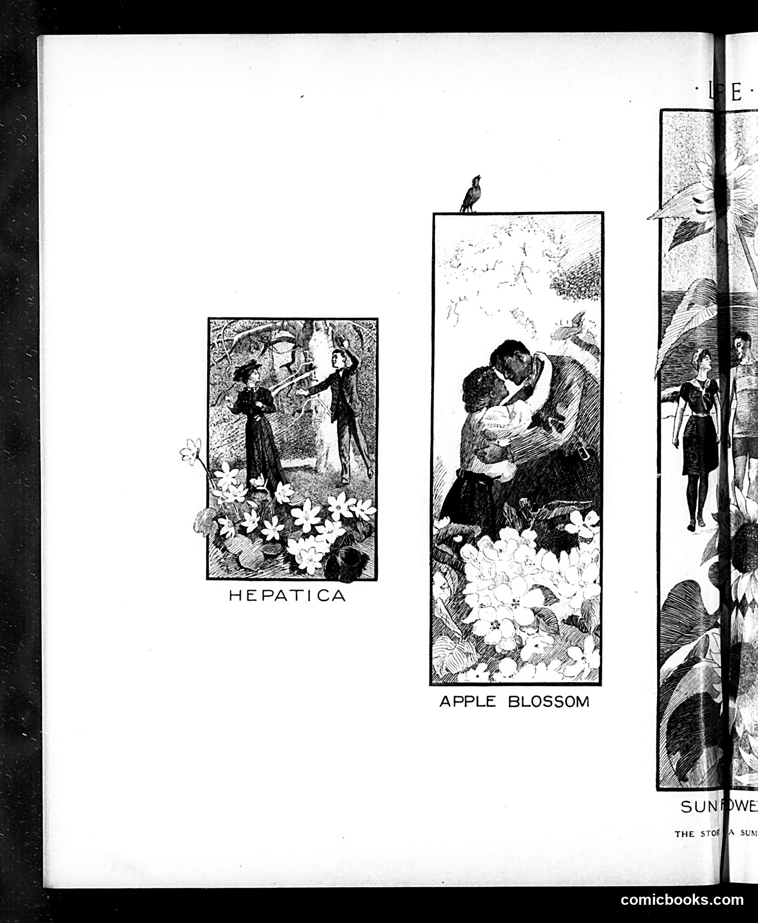 Life — September 5, 1907 — page 18 of 36