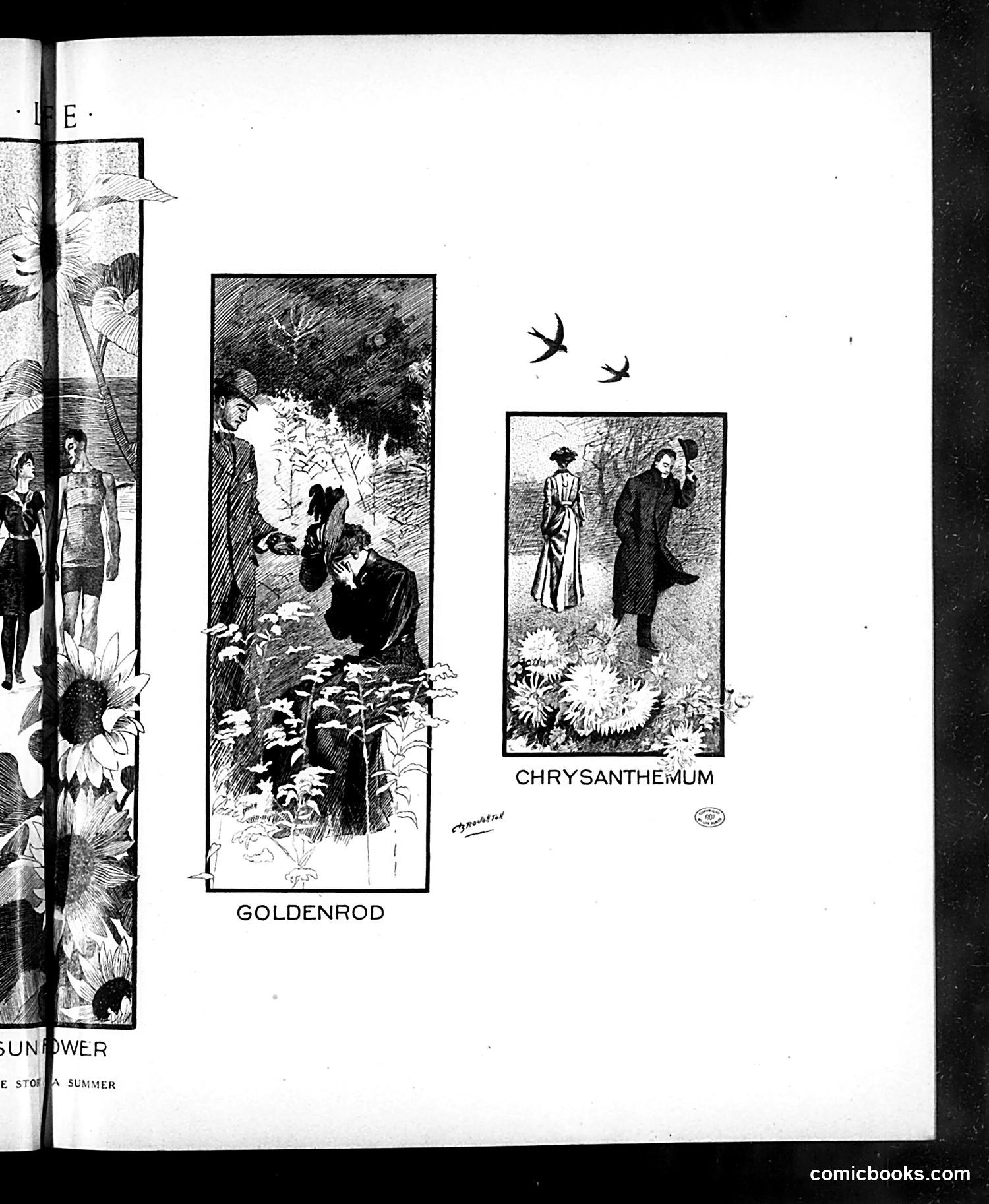 Life — September 5, 1907 — page 19 of 36