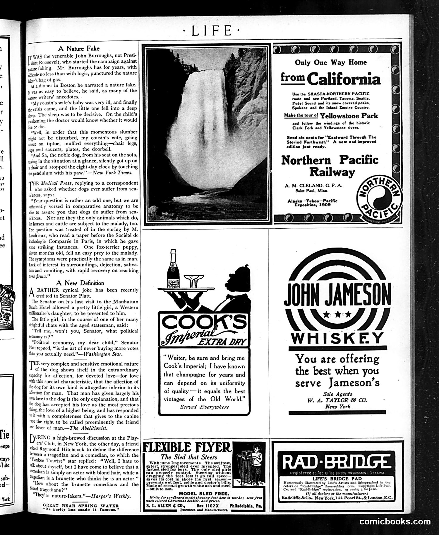 Life — November 21, 1907 — page 25 of 32