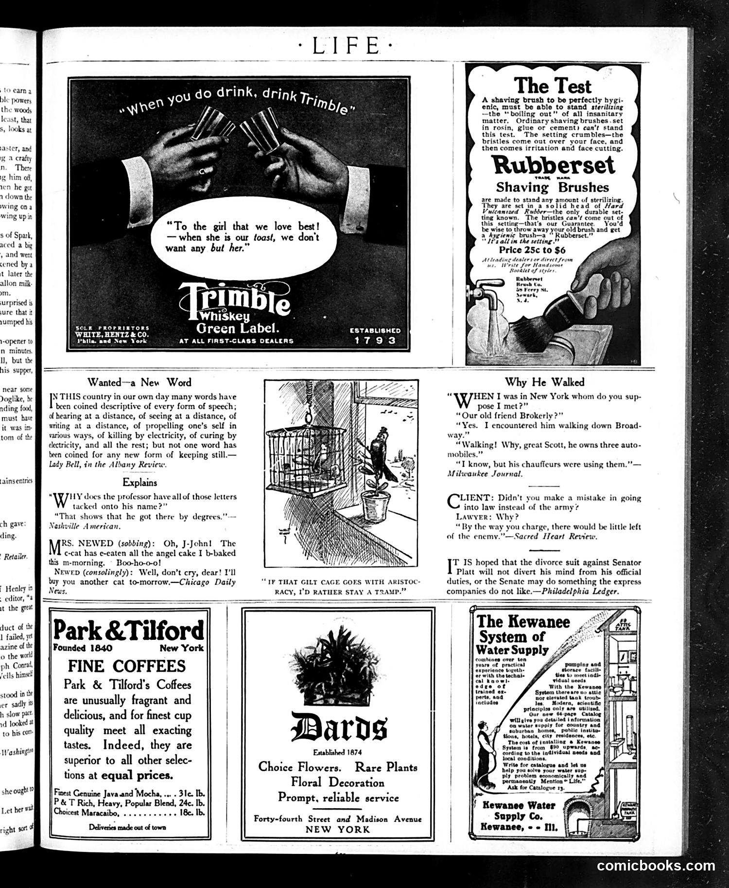 Life — November 21, 1907 — page 29 of 32
