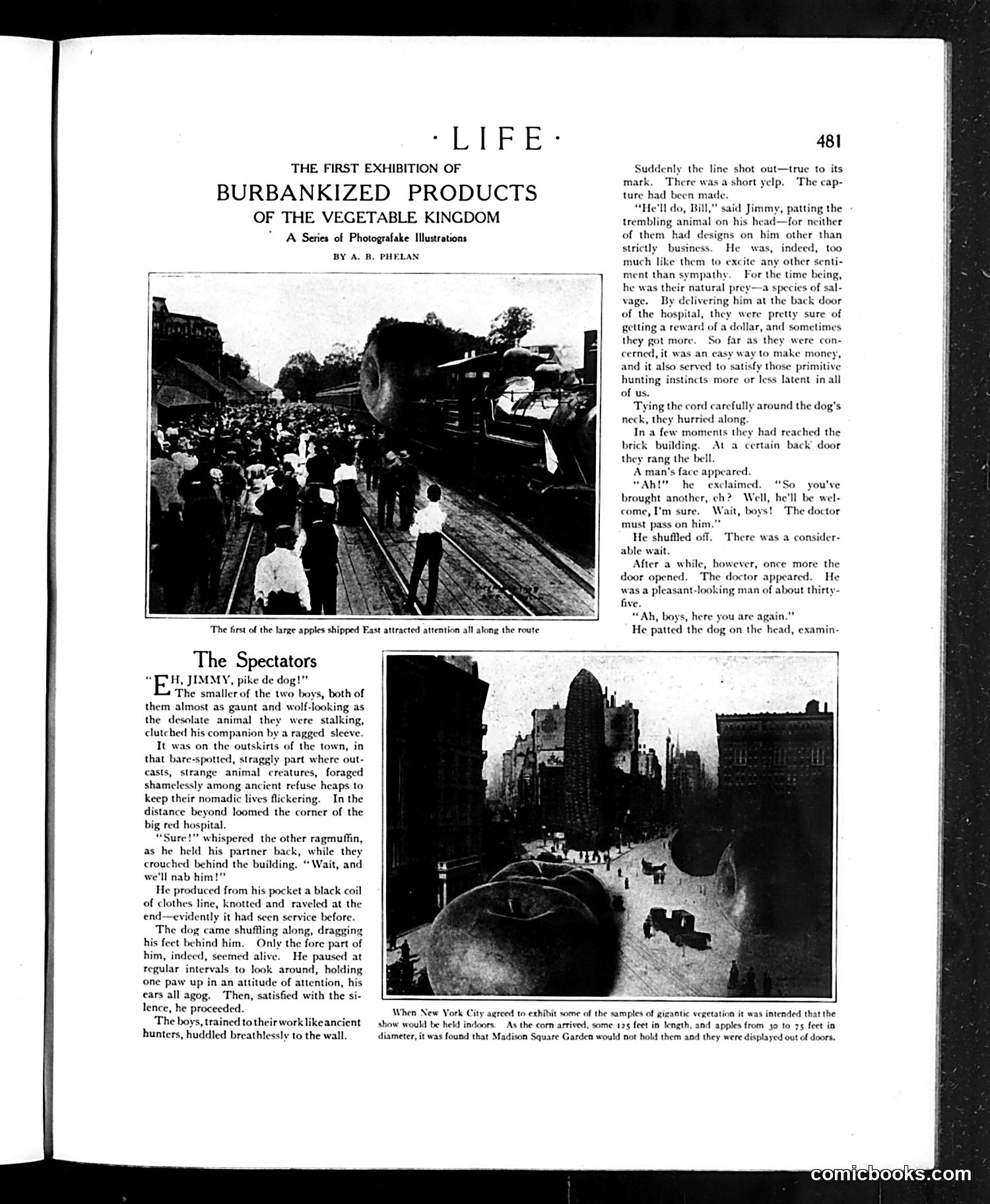 Life — May 7, 1908 — page 17 of 48