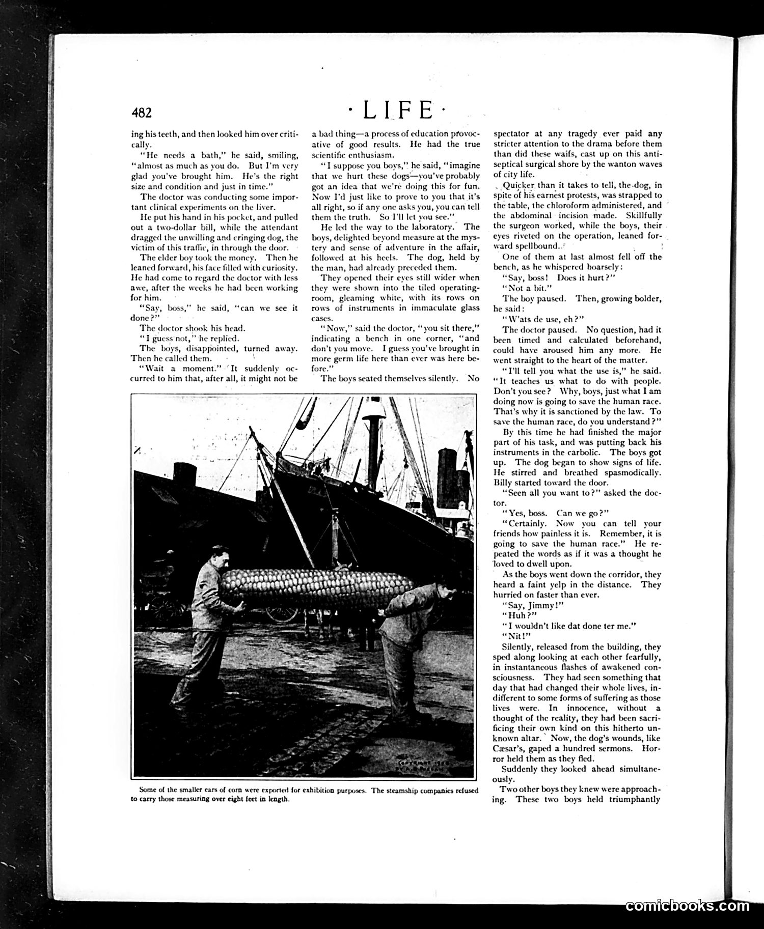 Life — May 7, 1908 — page 18 of 48