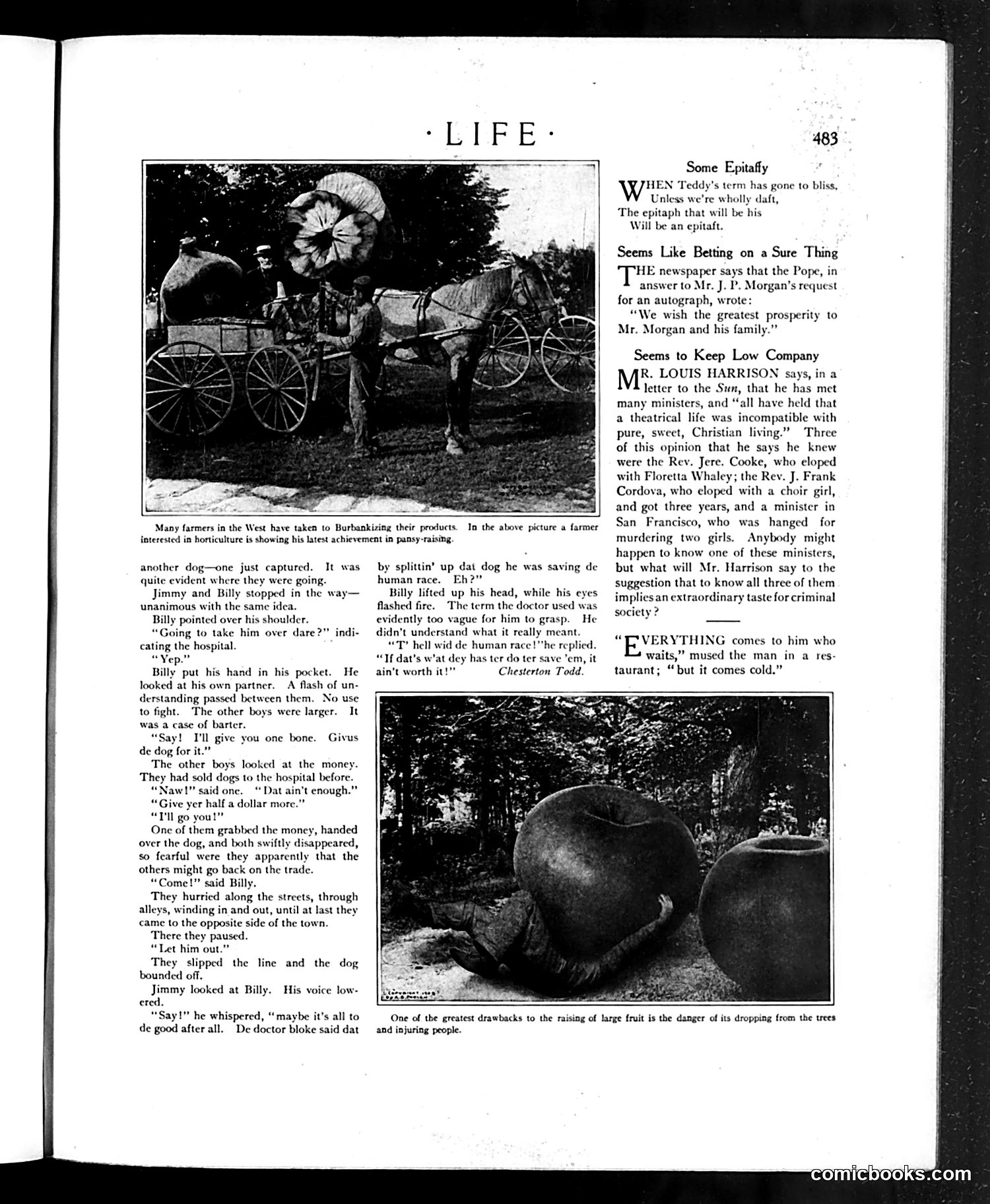 Life — May 7, 1908 — page 19 of 48
