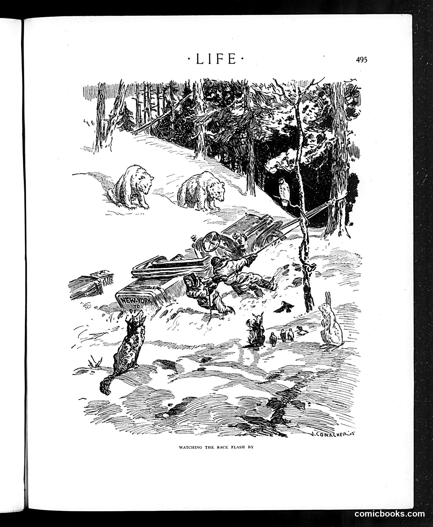 Life — May 7, 1908 — page 31 of 48