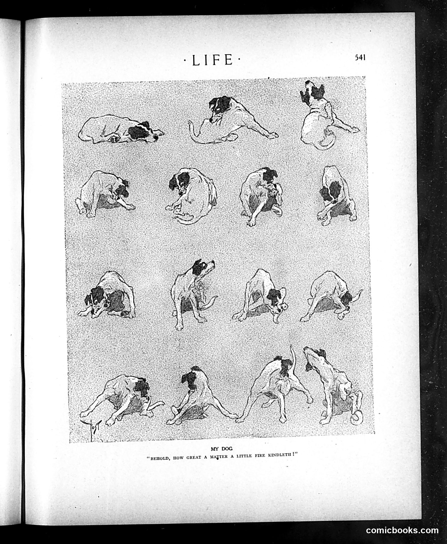 Life — May 21, 1908 — page 9 of 28