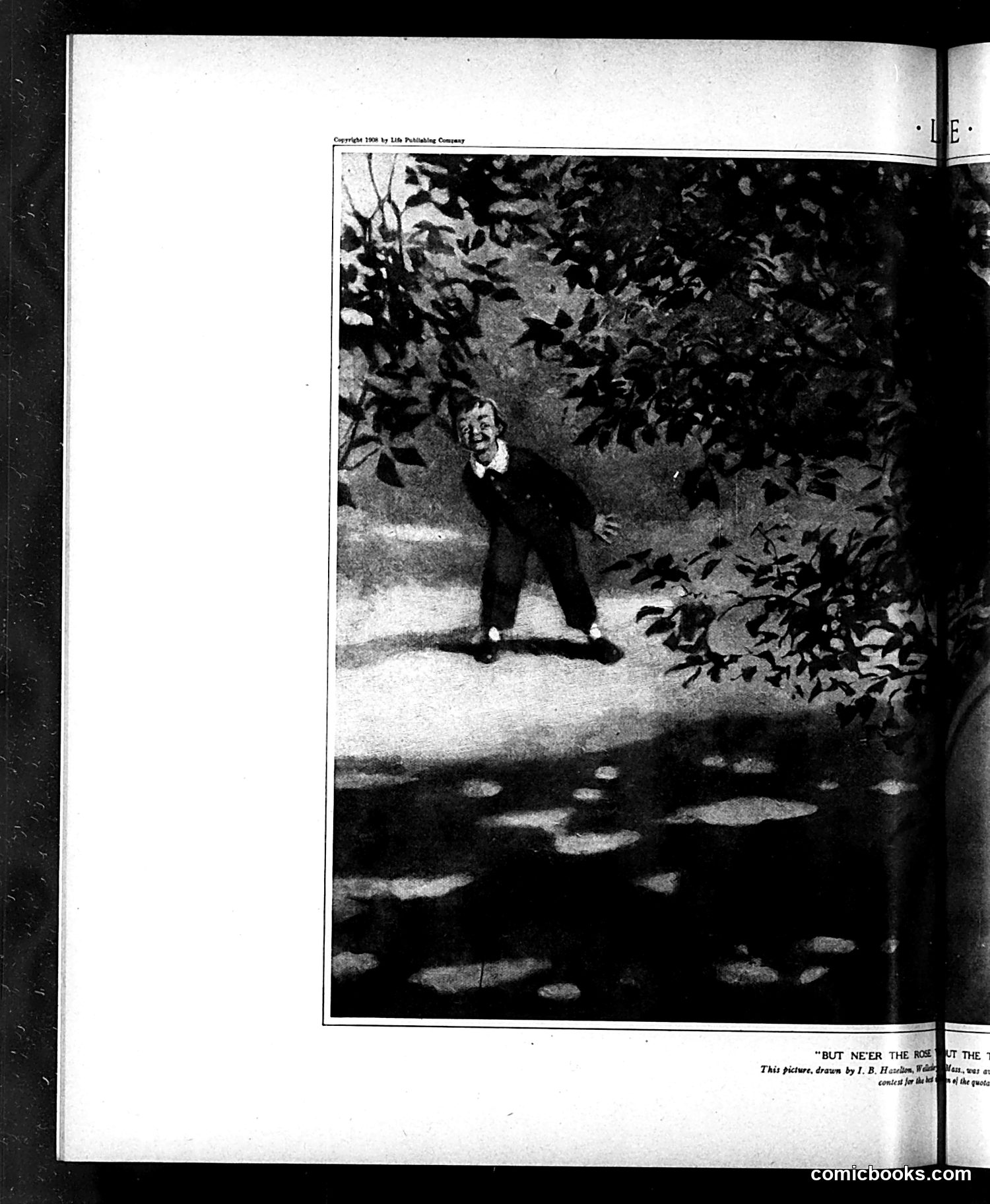 Life — May 28, 1908 — page 12 of 24
