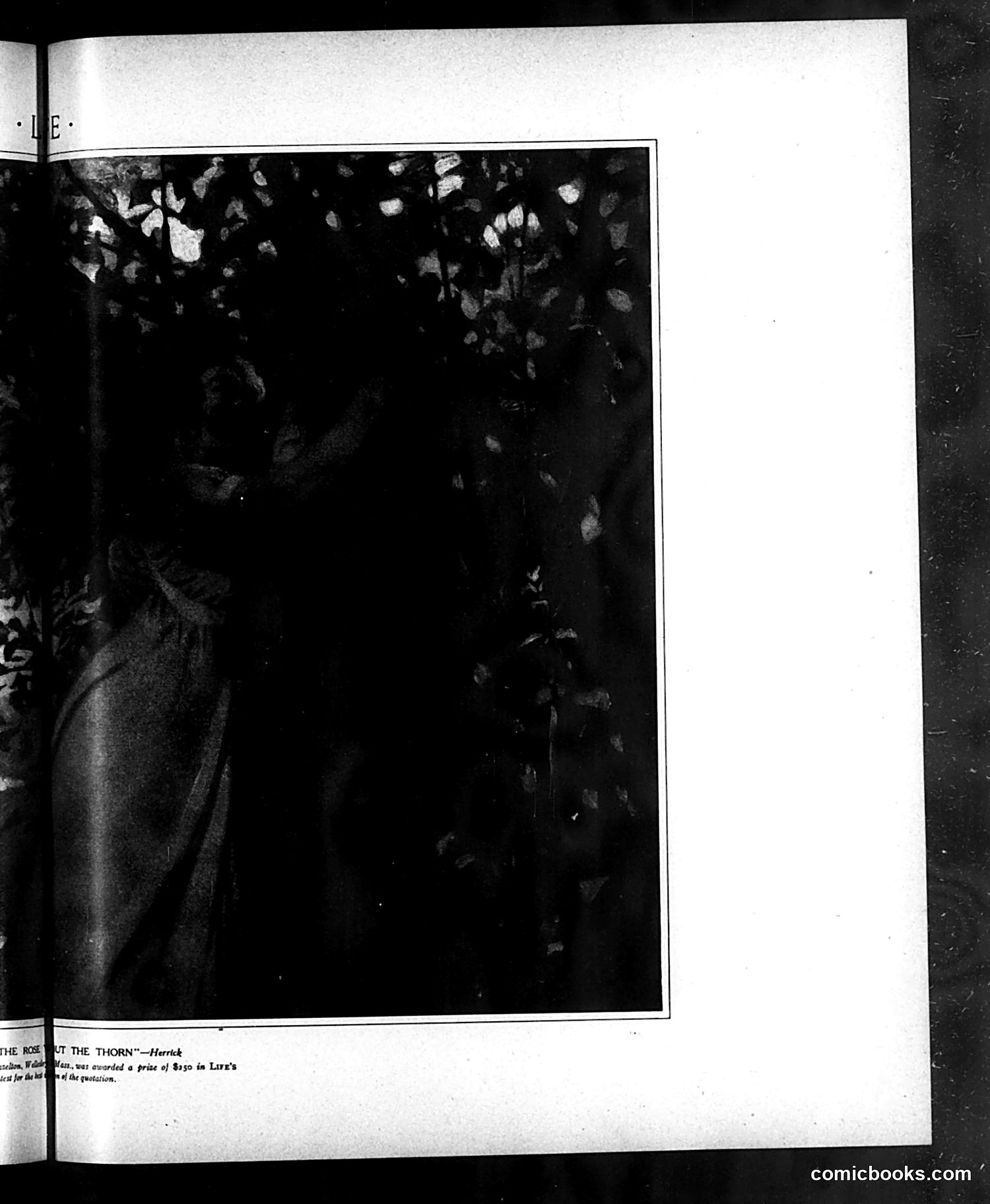 Life — May 28, 1908 — page 13 of 24