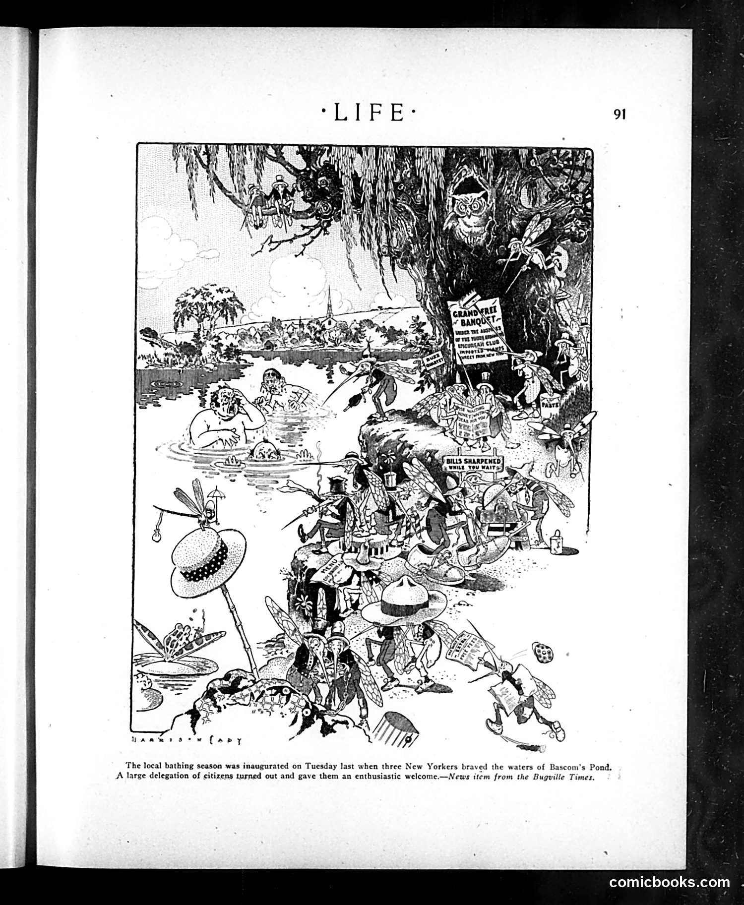 Life — July 23, 1908 — page 5 of 20