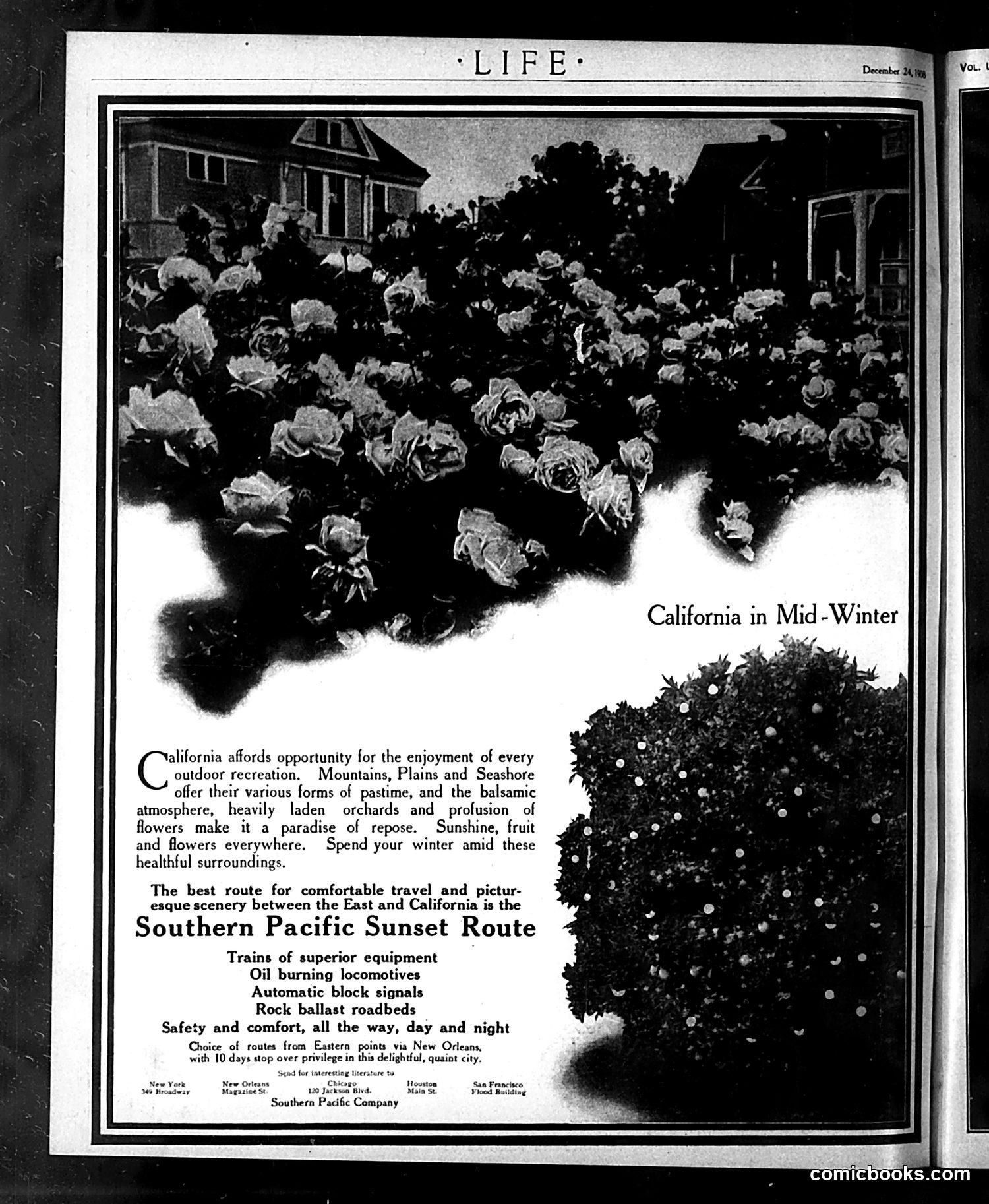 Life — December 24, 1908 — page 20 of 20