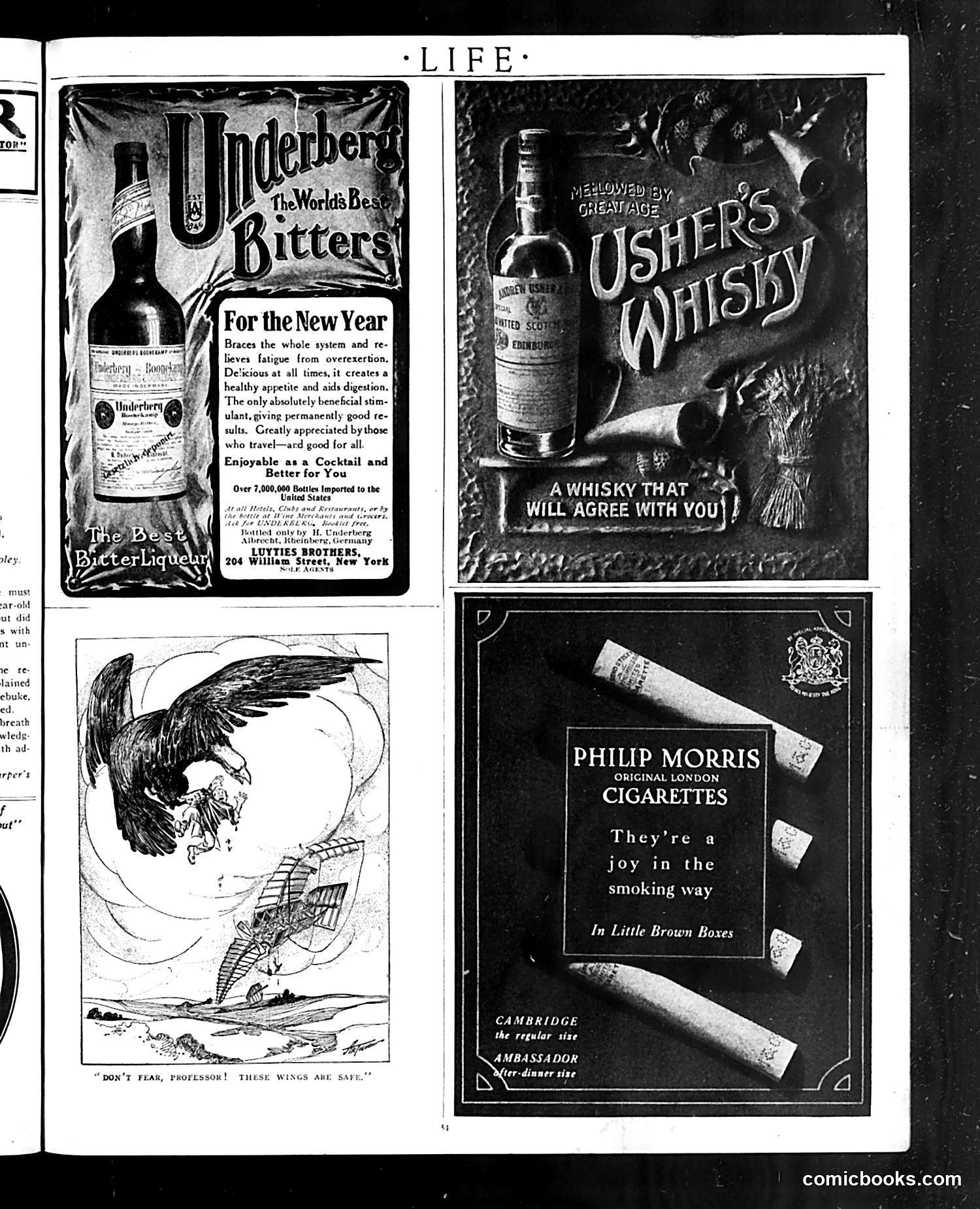 Life — January 7, 1909 — page 53 of 60