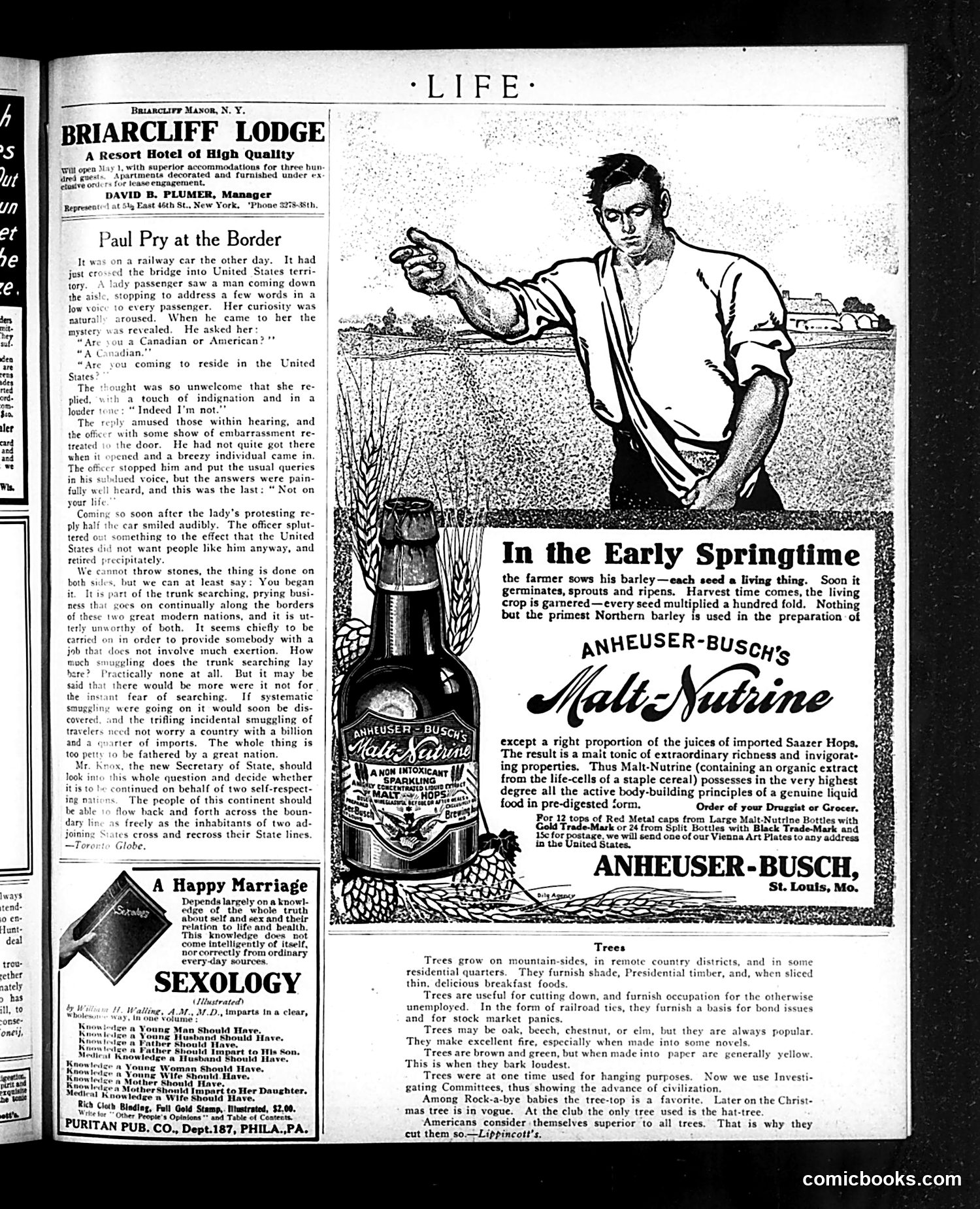 Life — May 6, 1909 — page 41 of 48